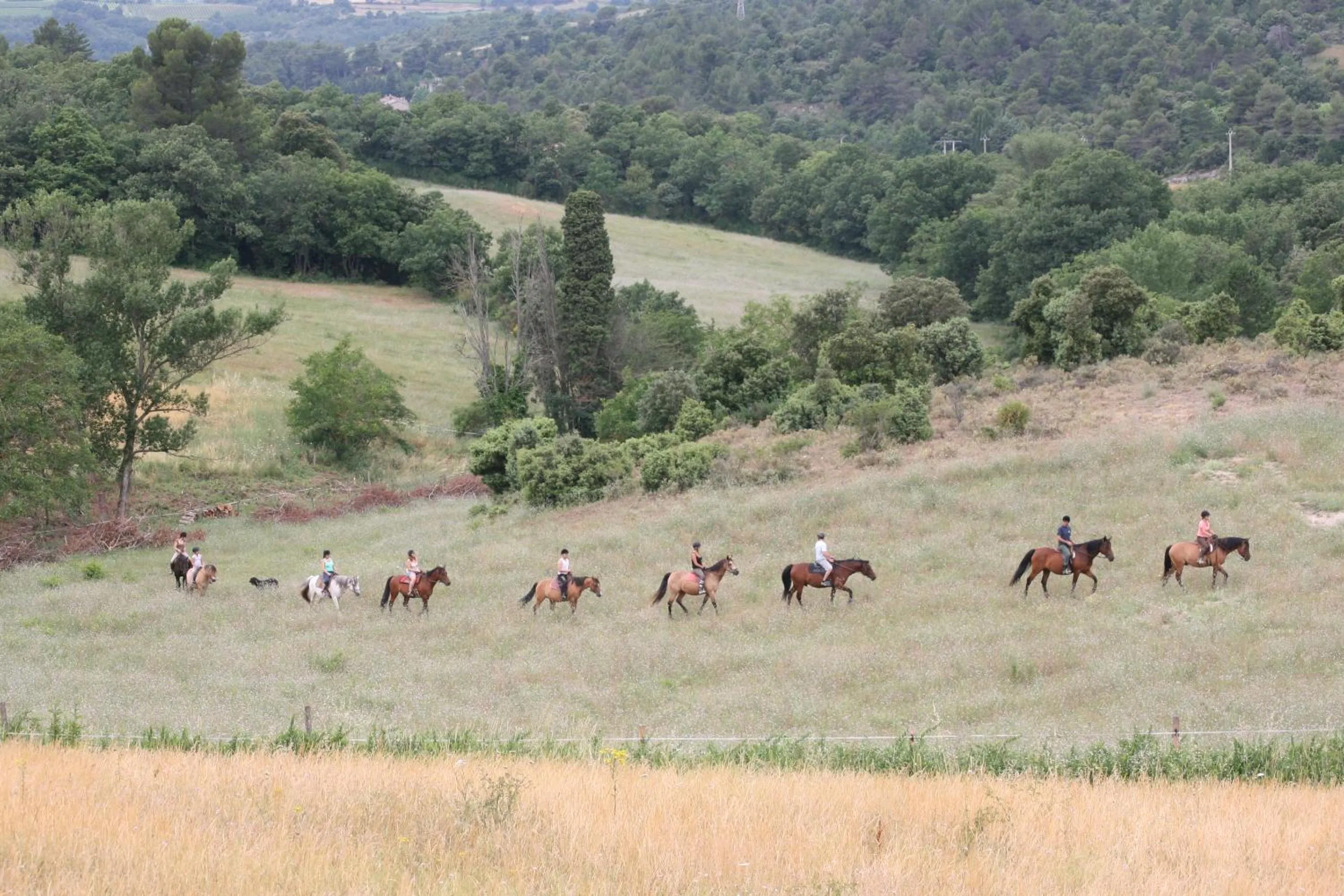 Horse-riding in Domaine De Fraisse