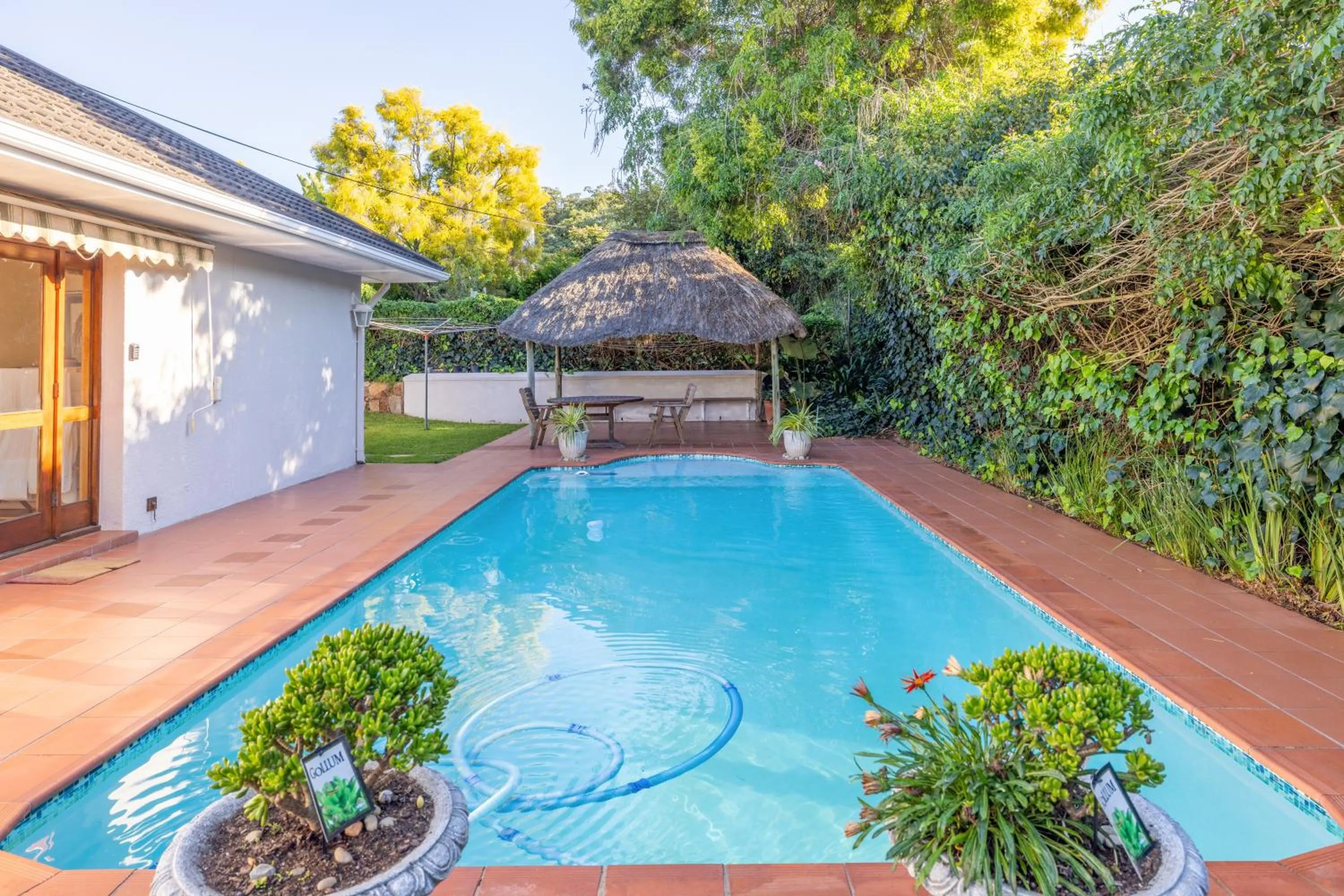 Pool view in 1-on-Ross