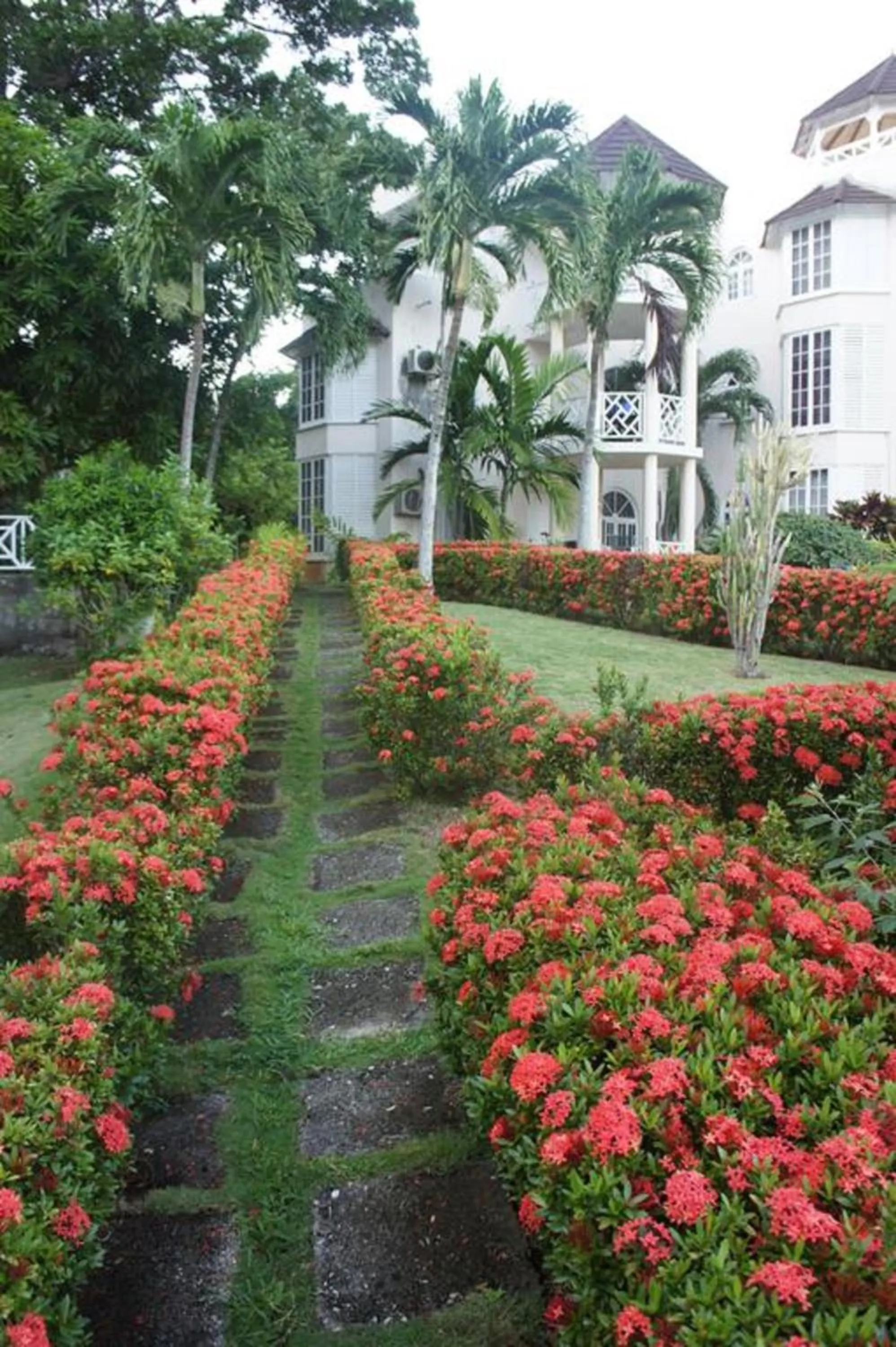Garden in Blue Topaz