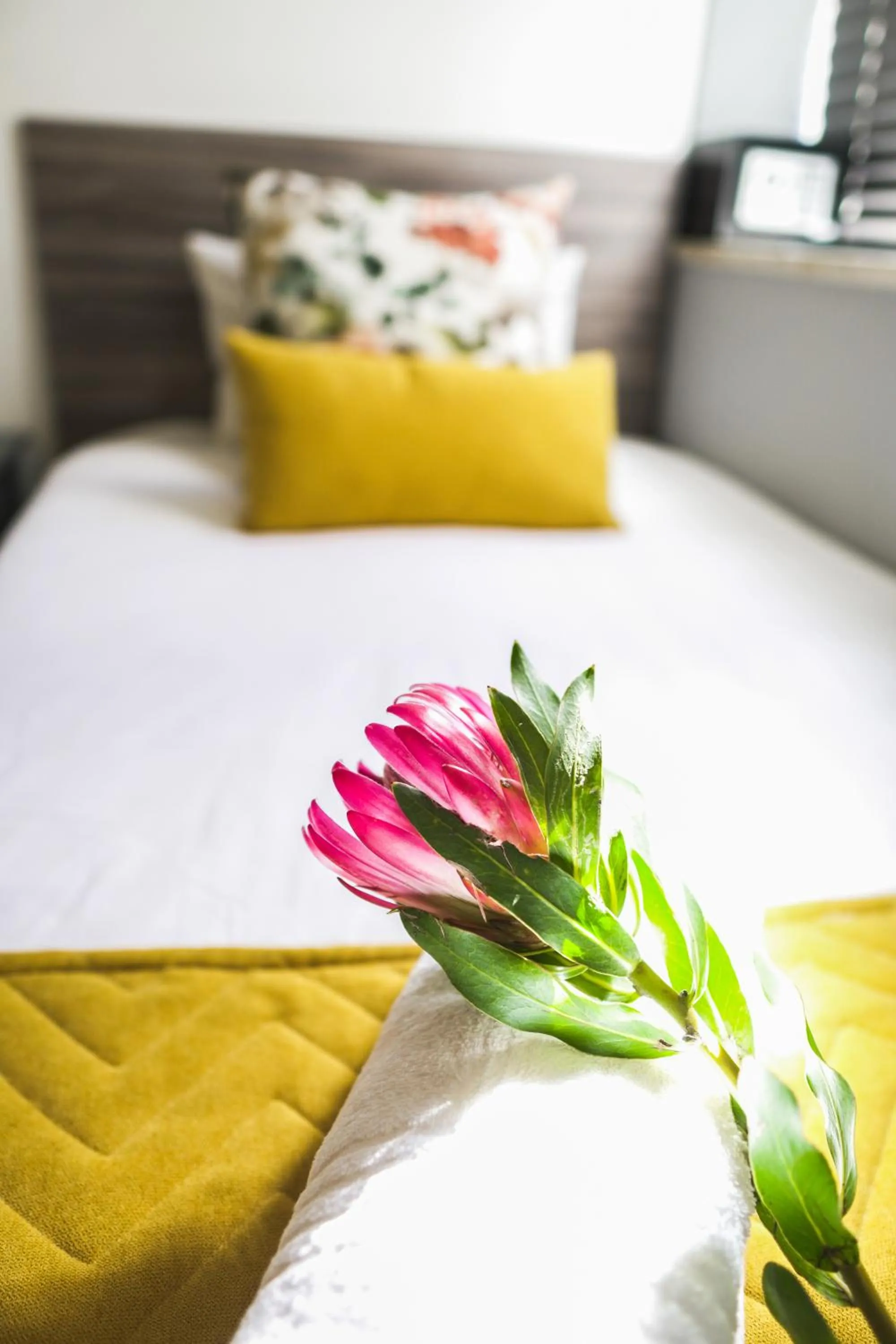 Bed in 106 On Adderley Accommodation