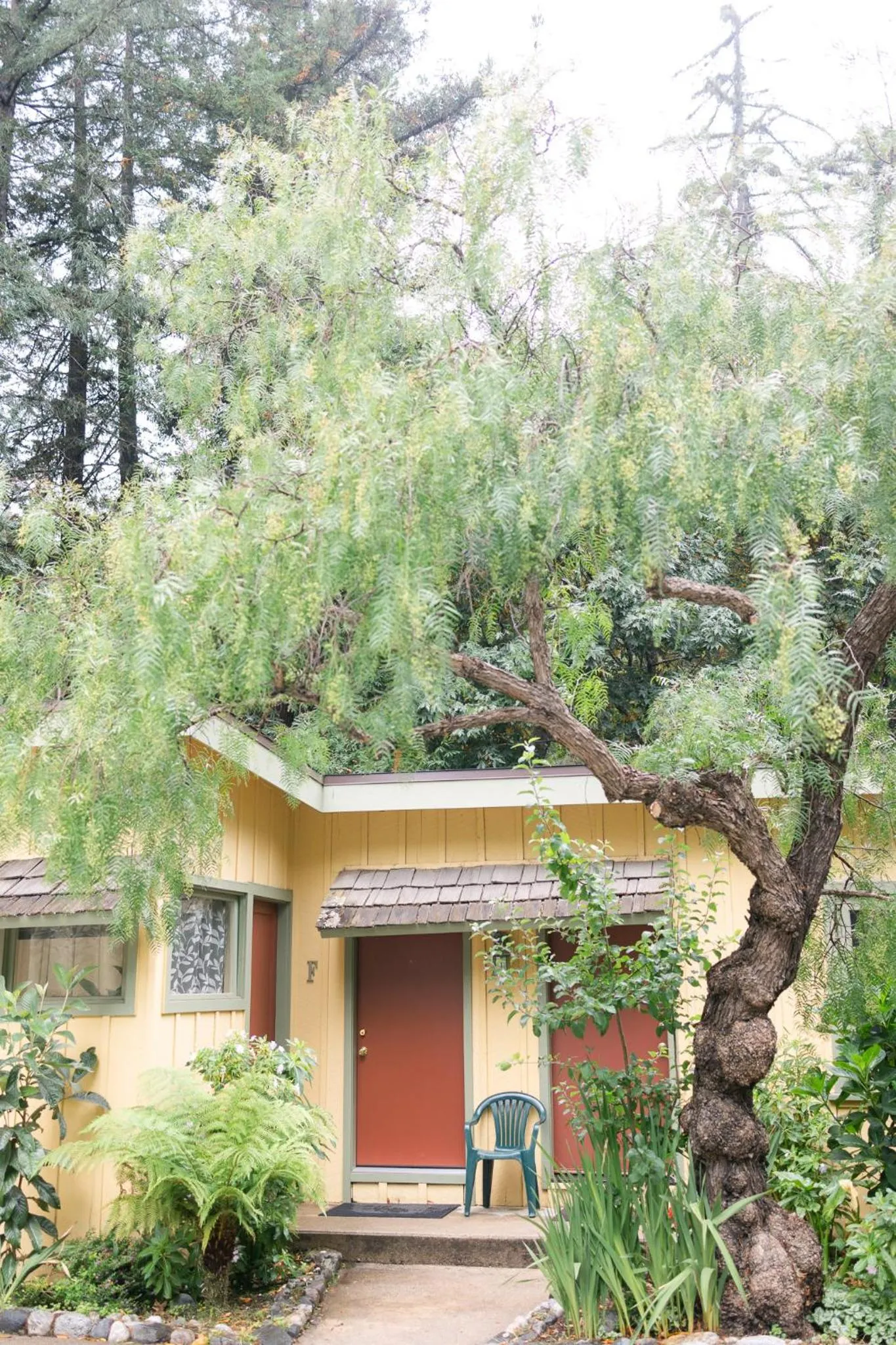 Property building in Fernwood Resort