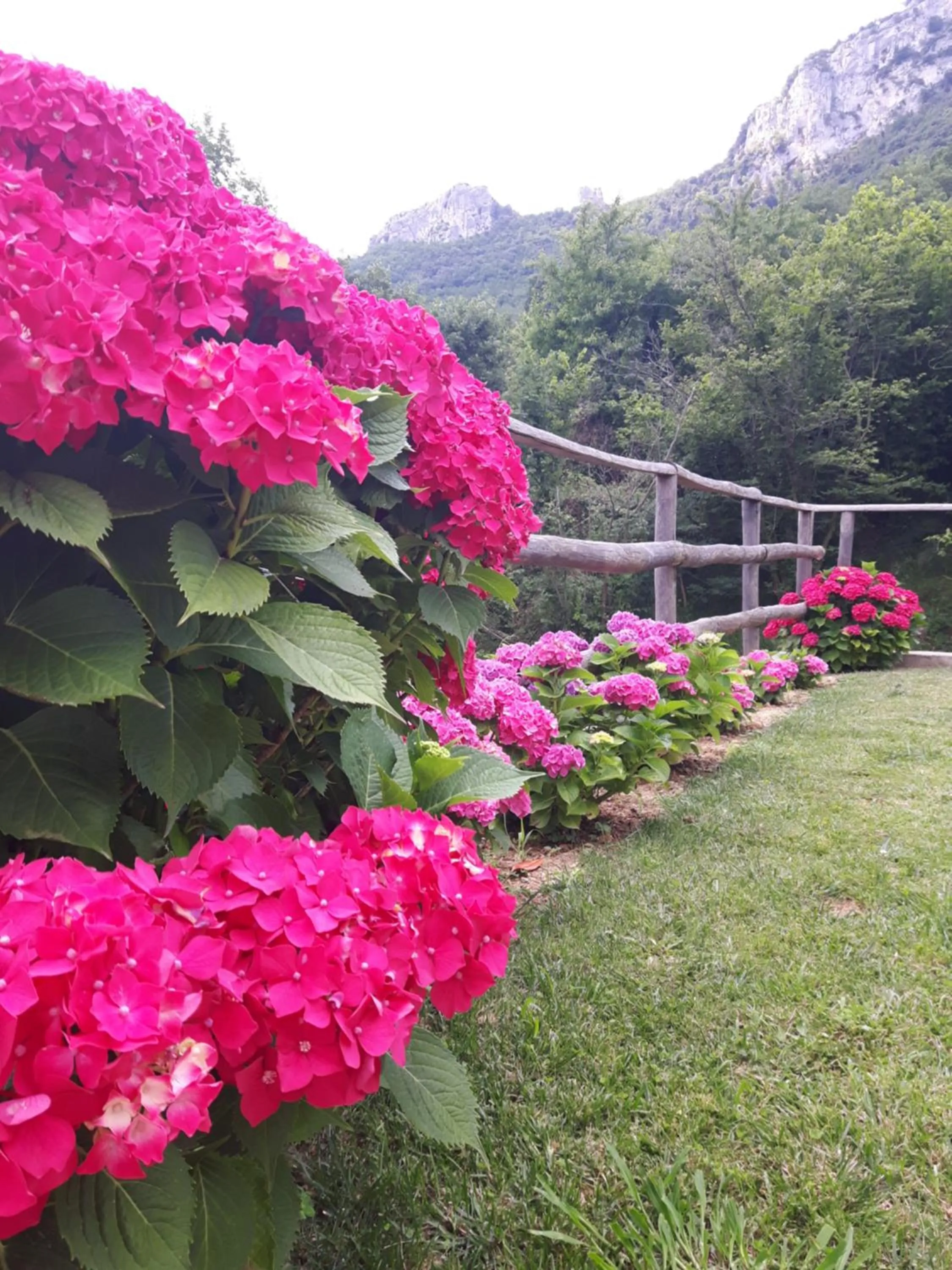 Garden in Ort holiday's time