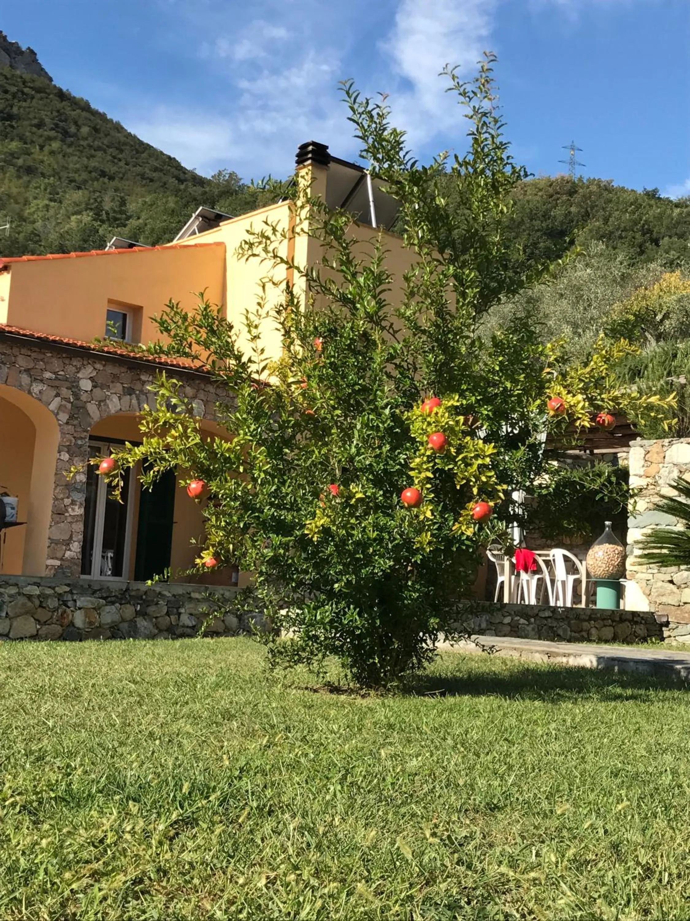 Garden view in Ort holiday's time