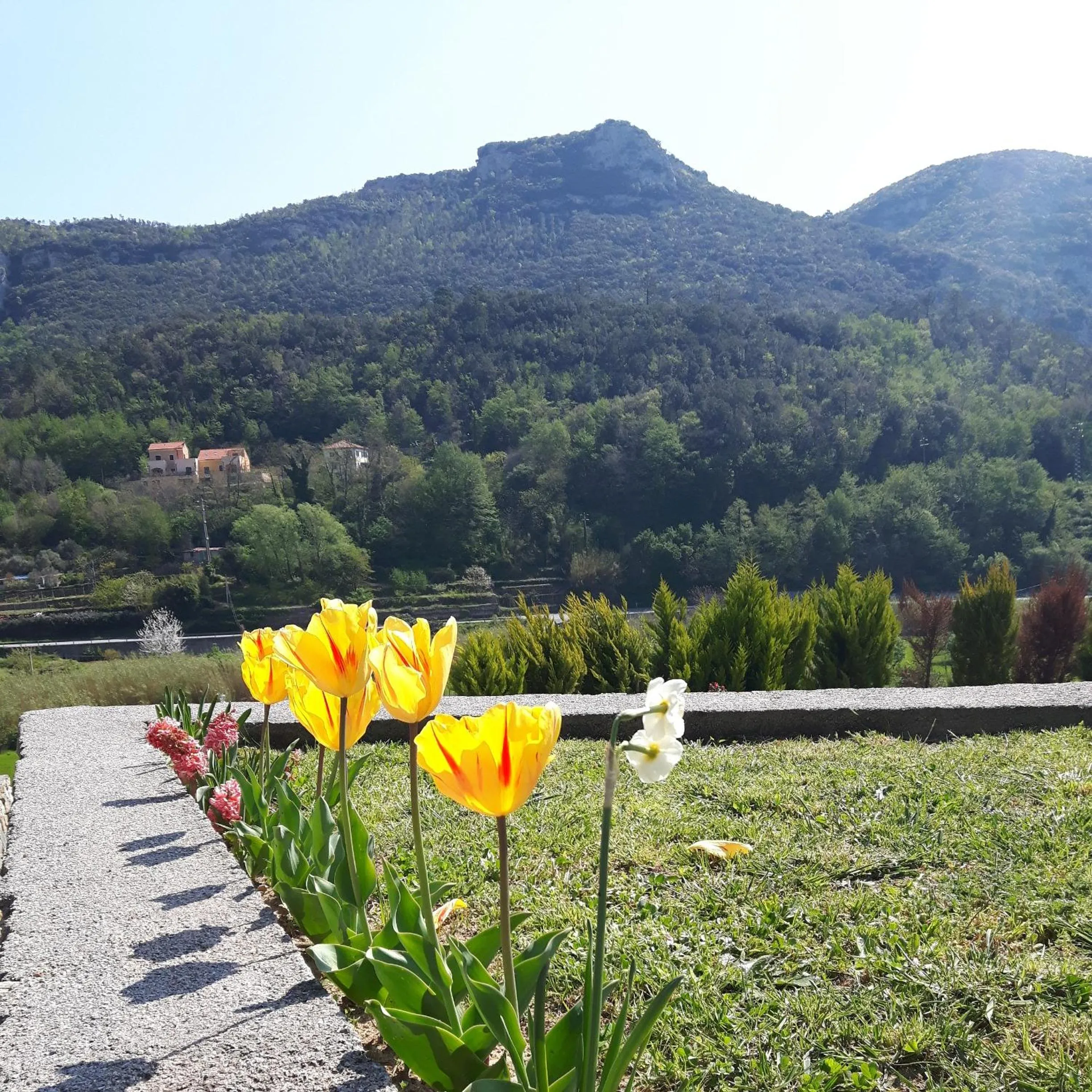 Mountain view in Ort holiday's time