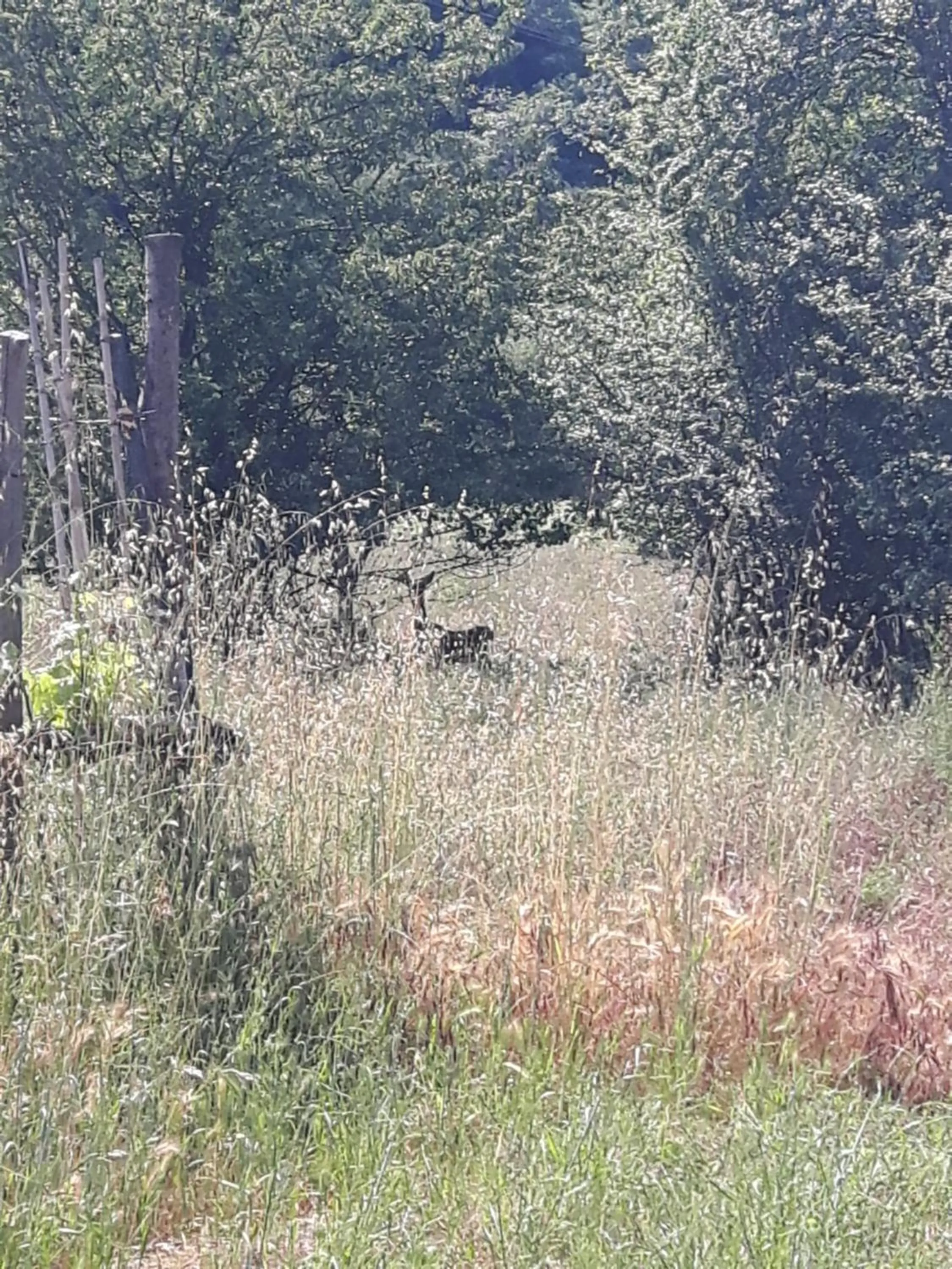 Property building in Ort holiday's time