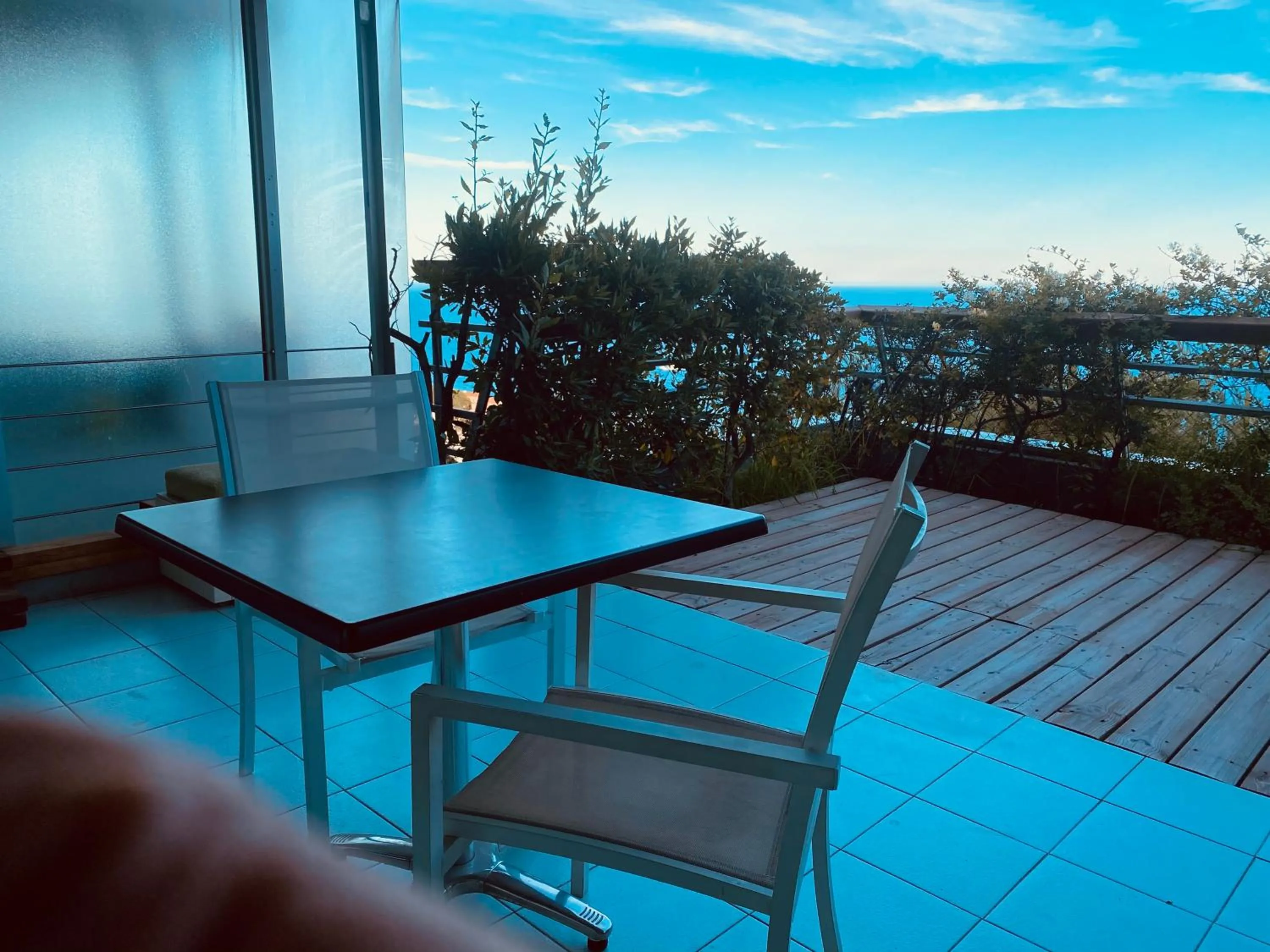Sunny Home Costa Plana-Monaco -Cap D'Ail
