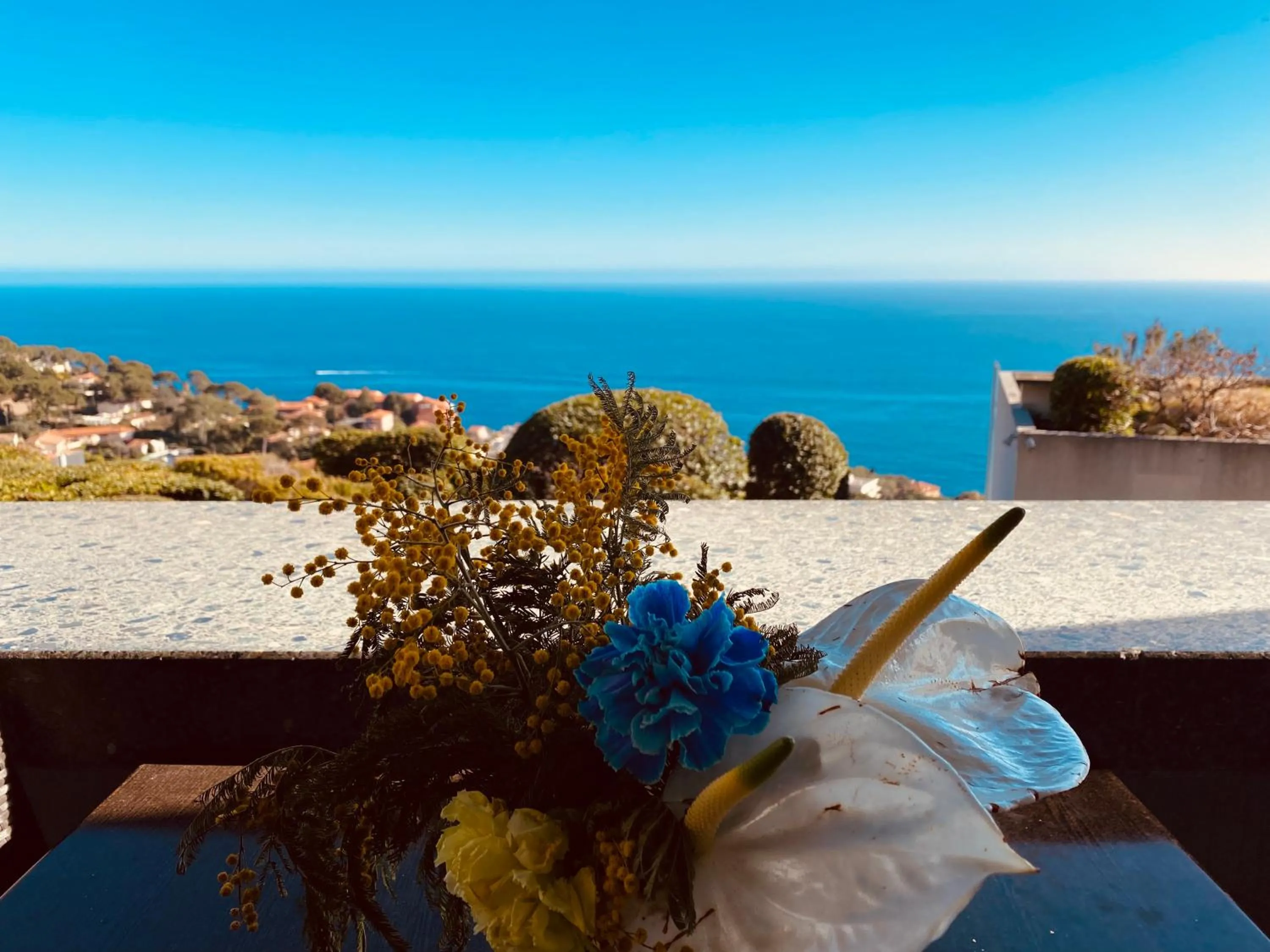 Natural landscape in Sunny Home Costa Plana-Monaco -Cap D'Ail