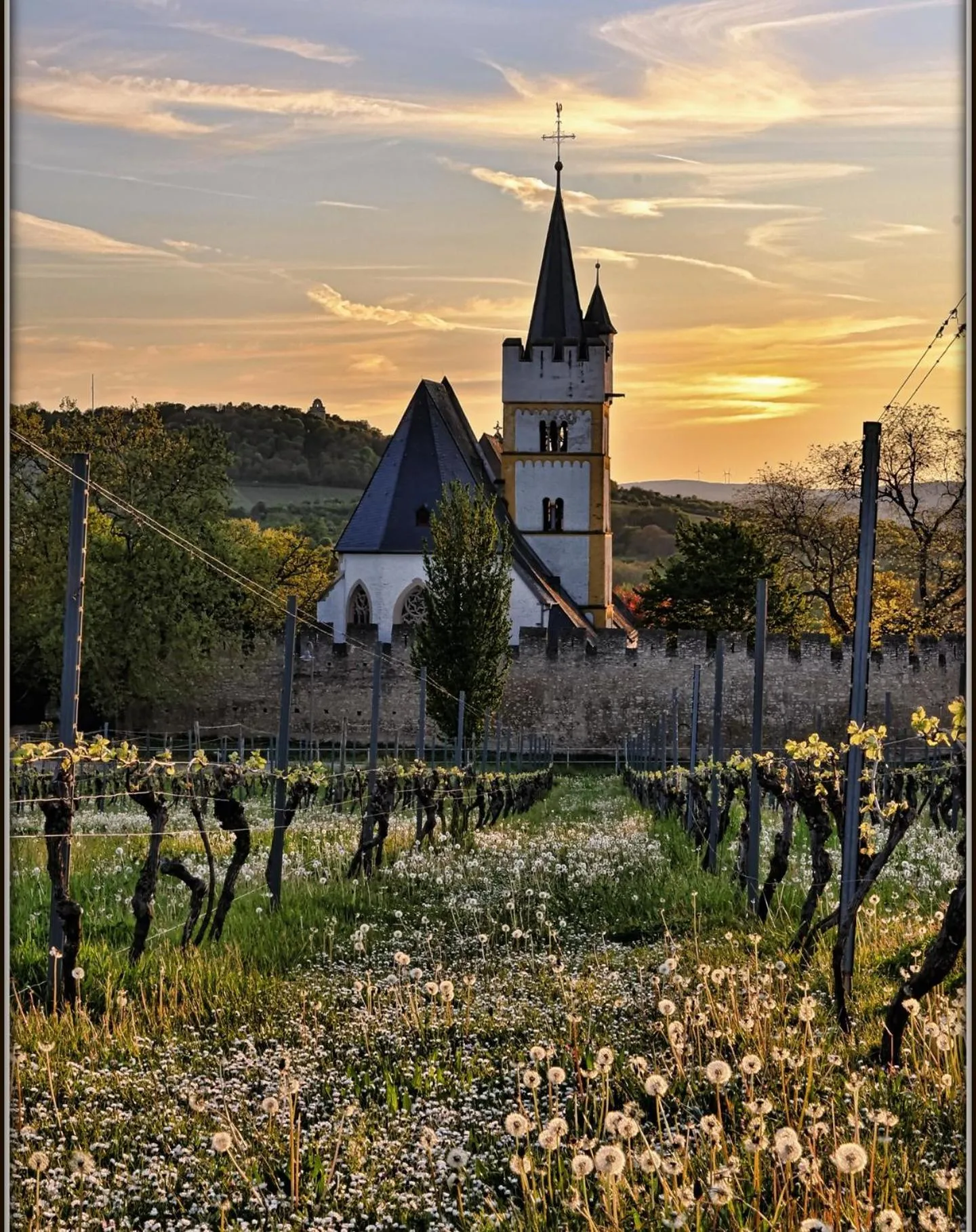 Spring in IBB Hotel Ingelheim