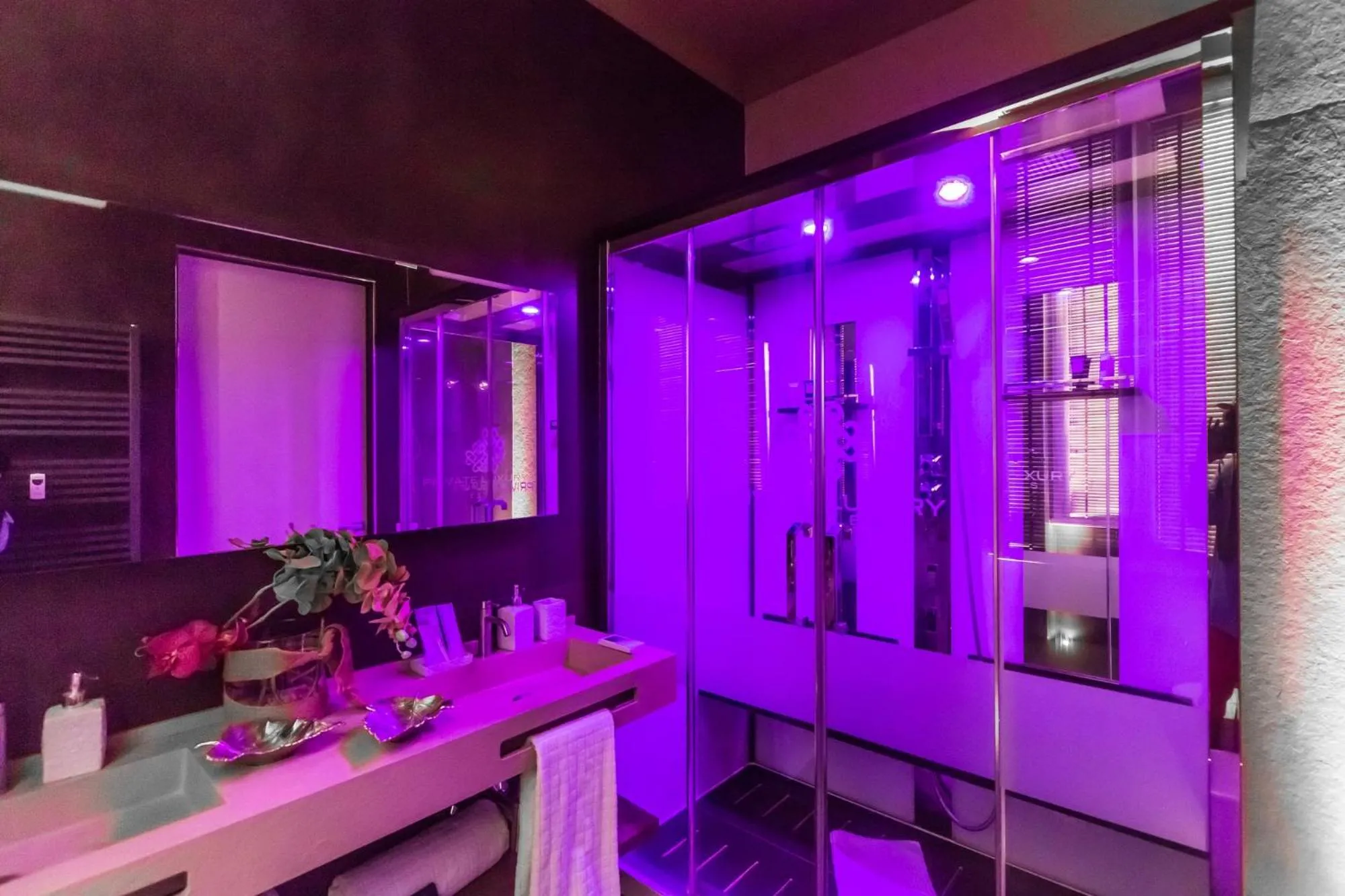 Steam room in Private Luxury Suites