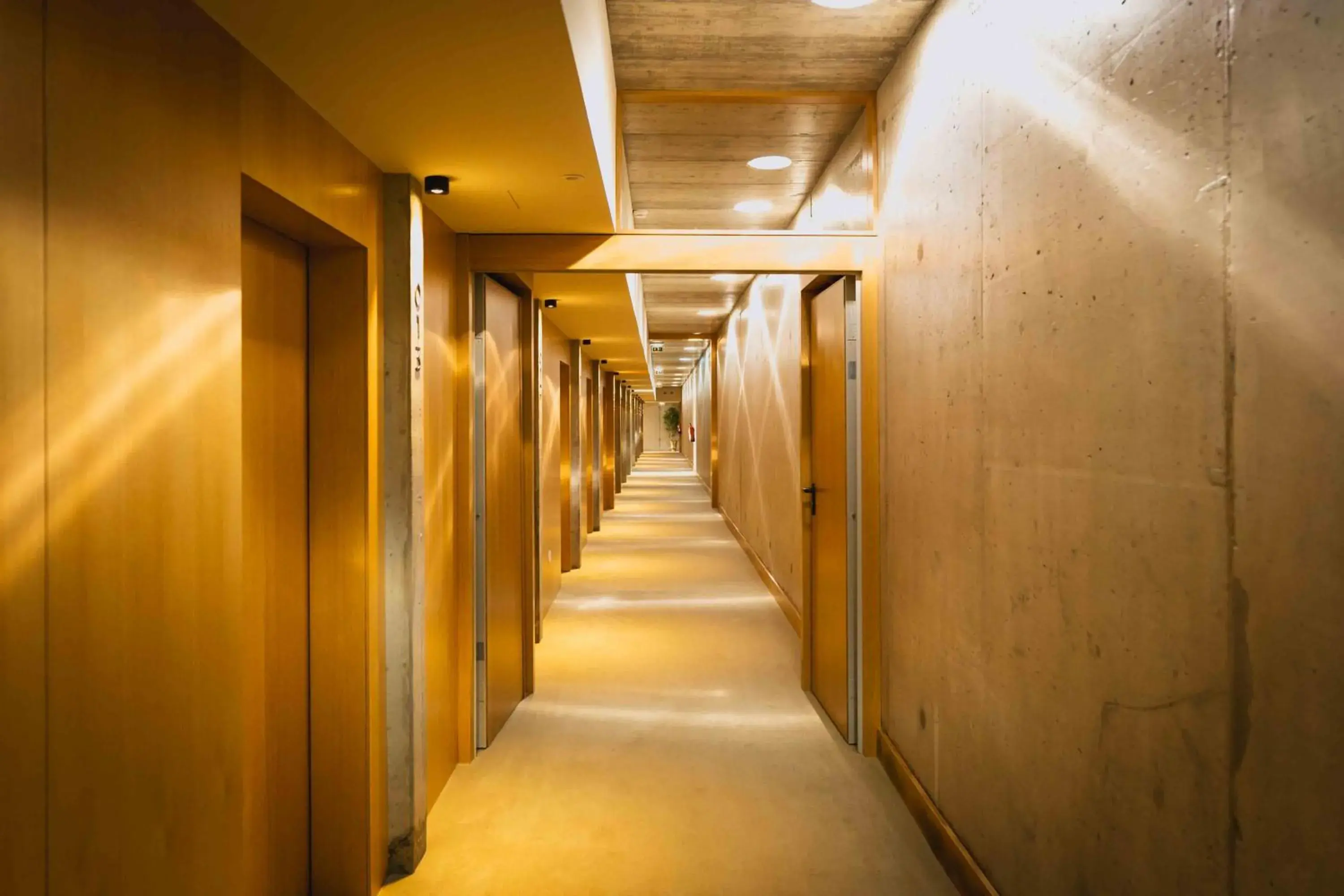 Property building in Borralha Hotel, Restaurante & Spa Property building in Borralha Hotel, Restaurante & Spa