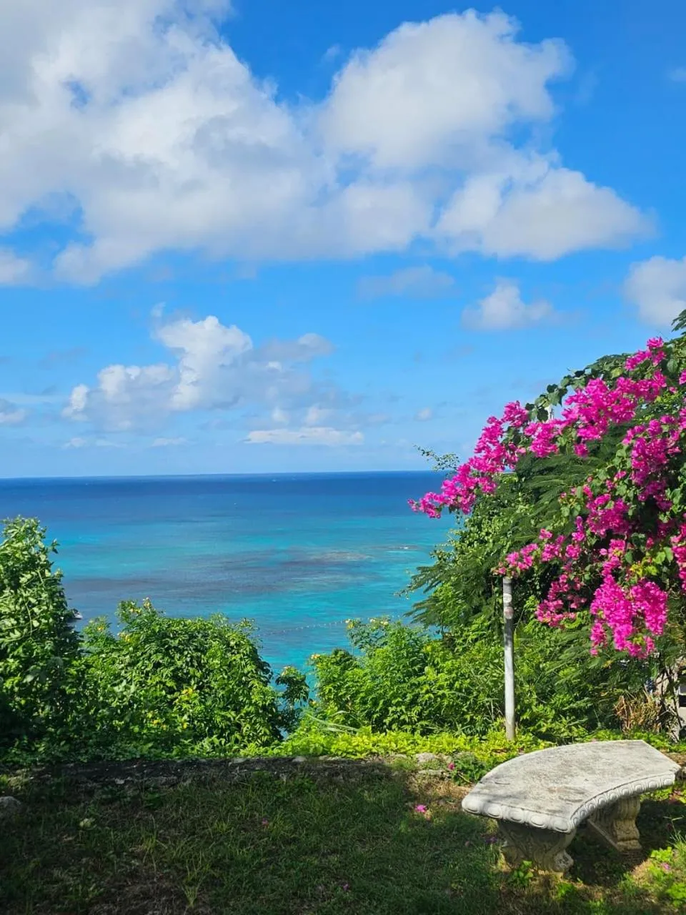 Nearby landmark in Montego Bay Club Apartments