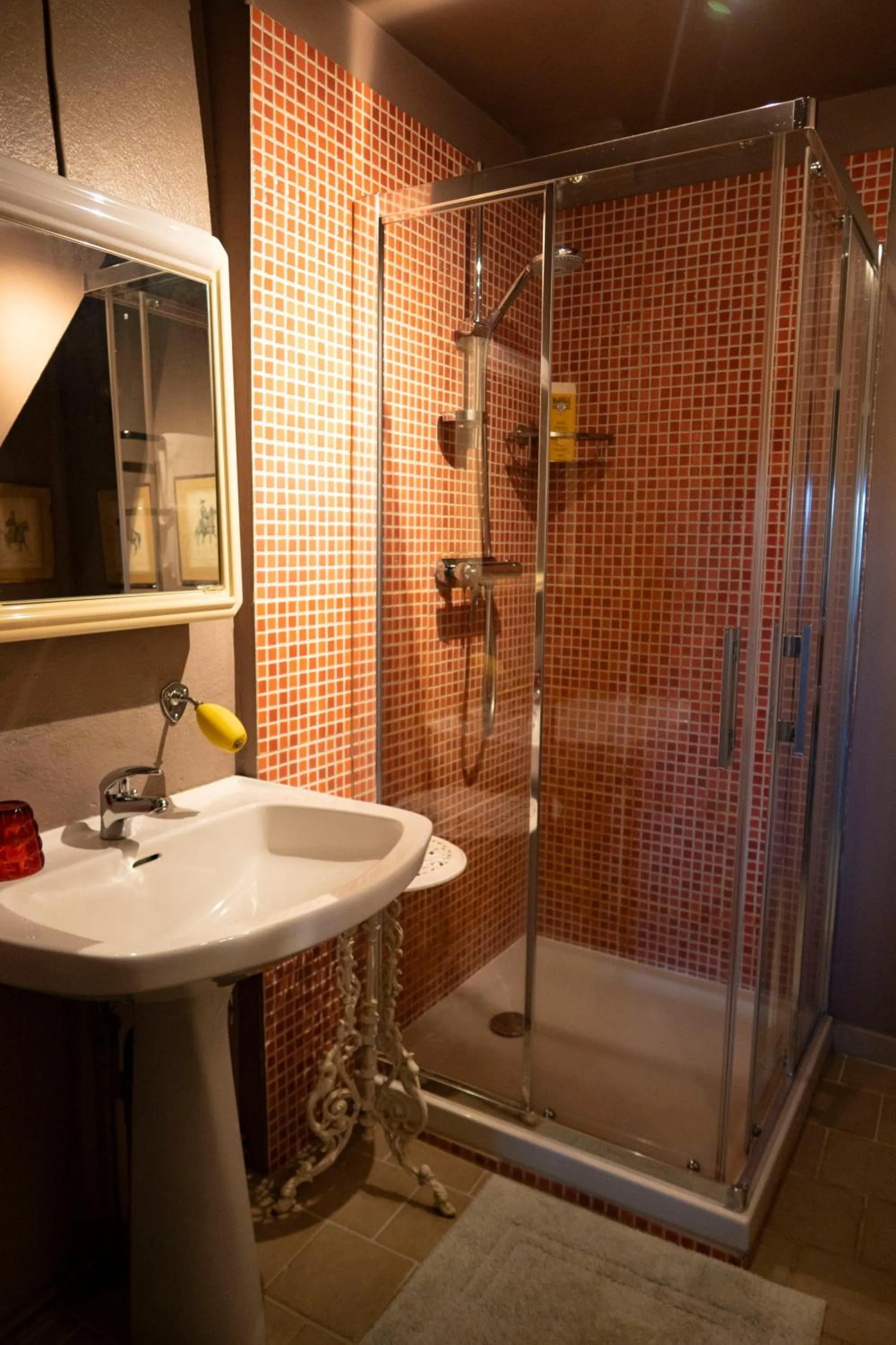Bathroom in Jan's place in Burgundy