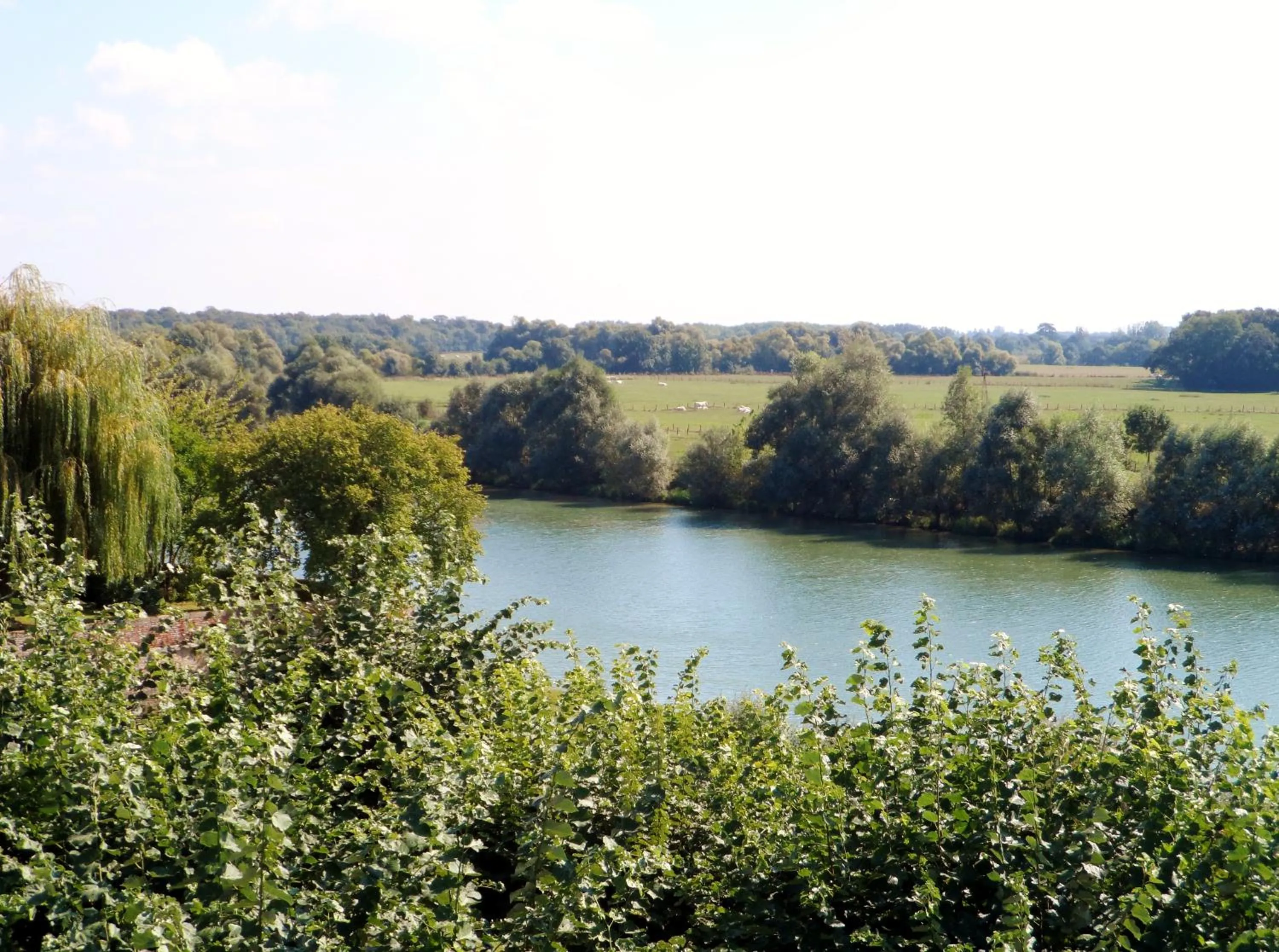 Natural landscape in Jan's place in Burgundy