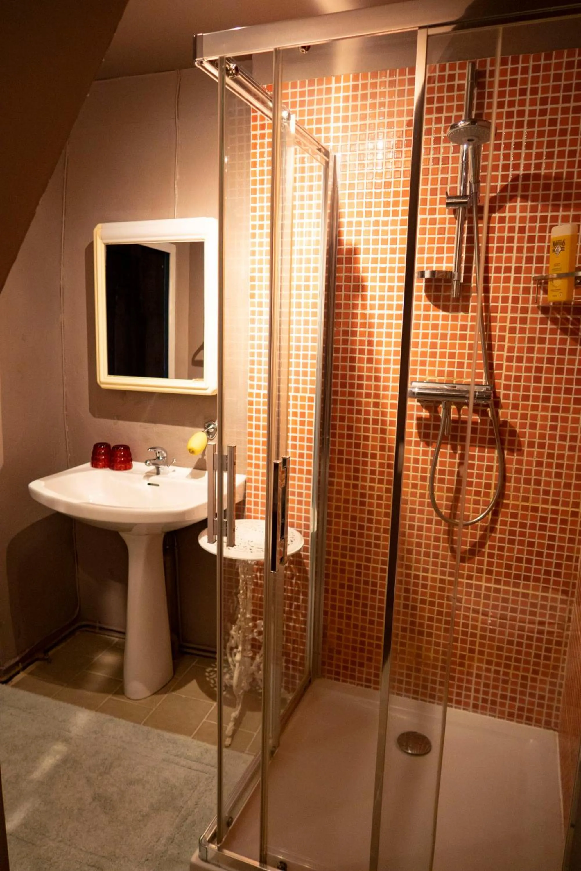 Bathroom in Jan's place in Burgundy