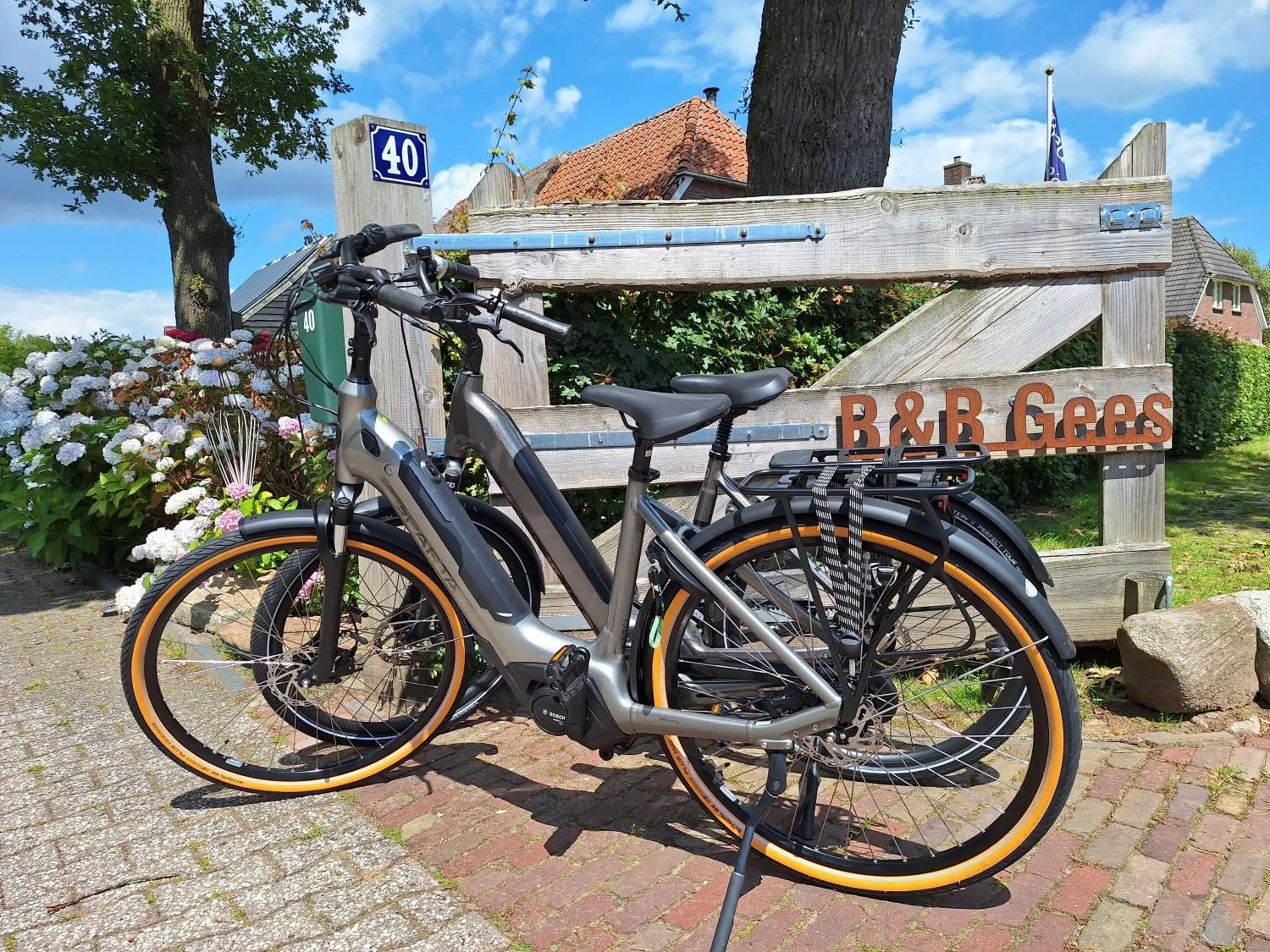 Bed en Breakfast Gees