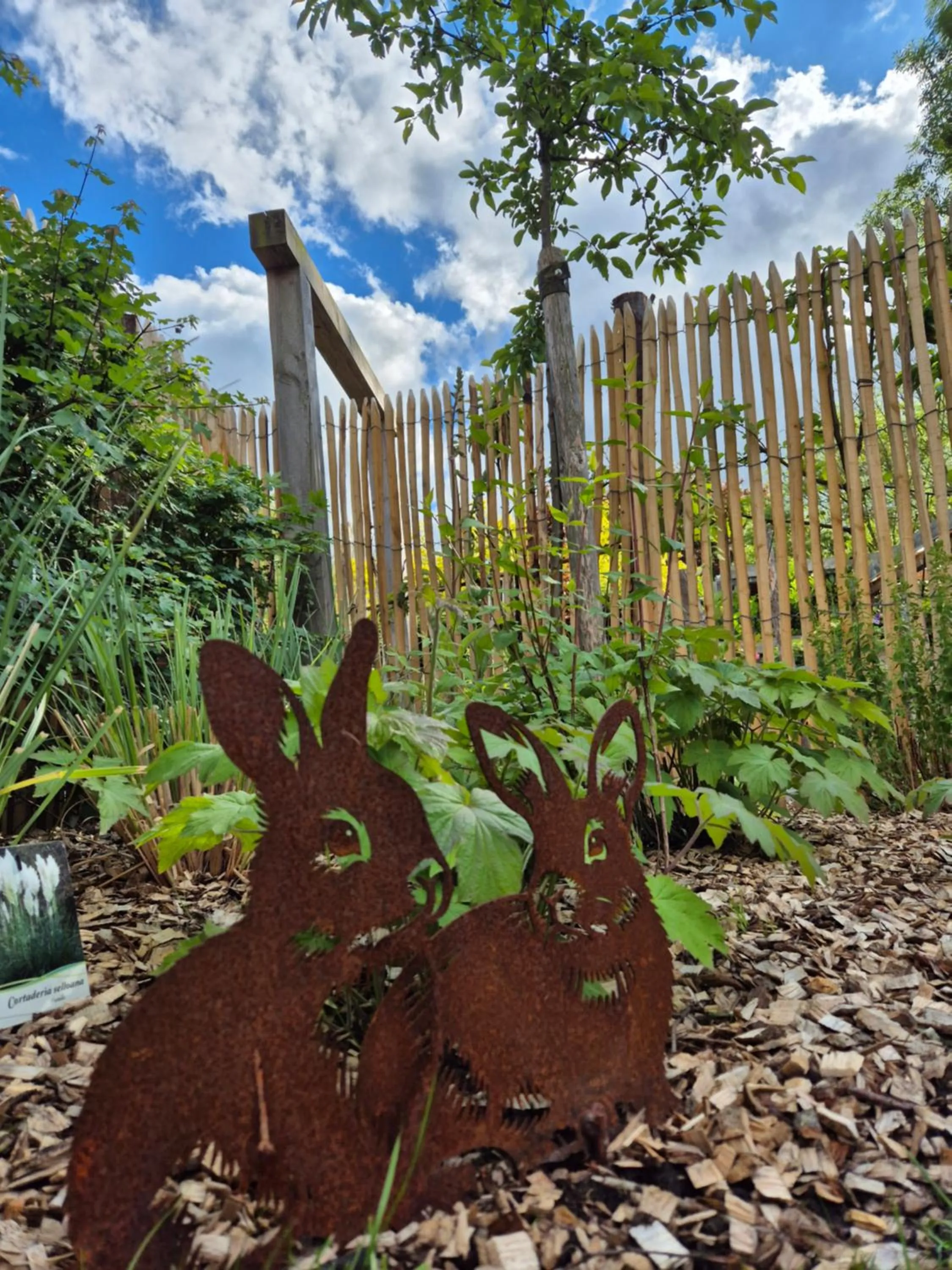 Bed en Breakfast Gees