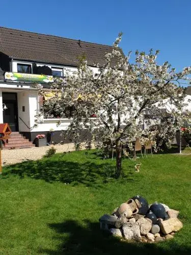 Eifelblümchen Eifelblümchen