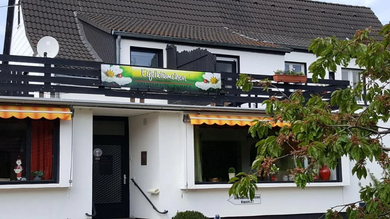 Eifelblümchen