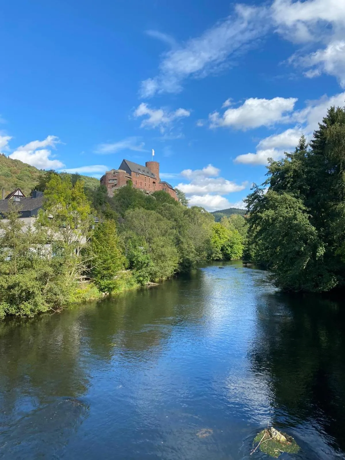 Eifelblümchen