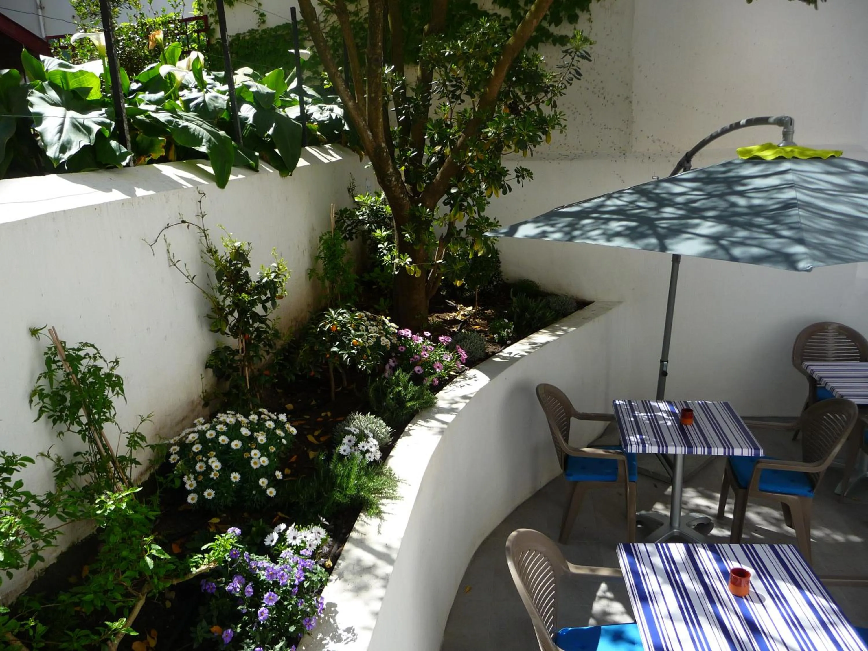 Patio in Hôtel Le Saphir