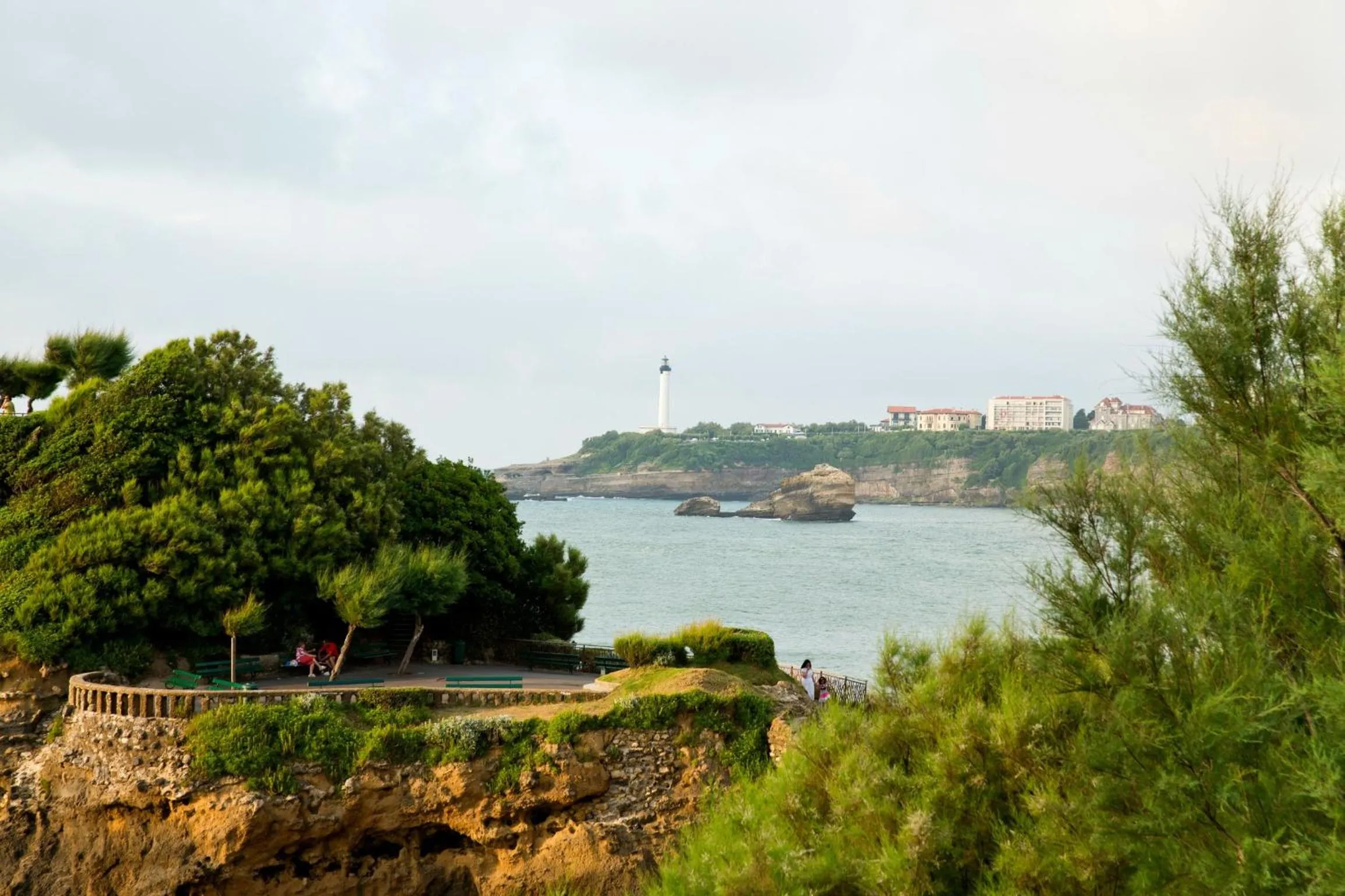 Area and facilities in Hôtel Le Saphir
