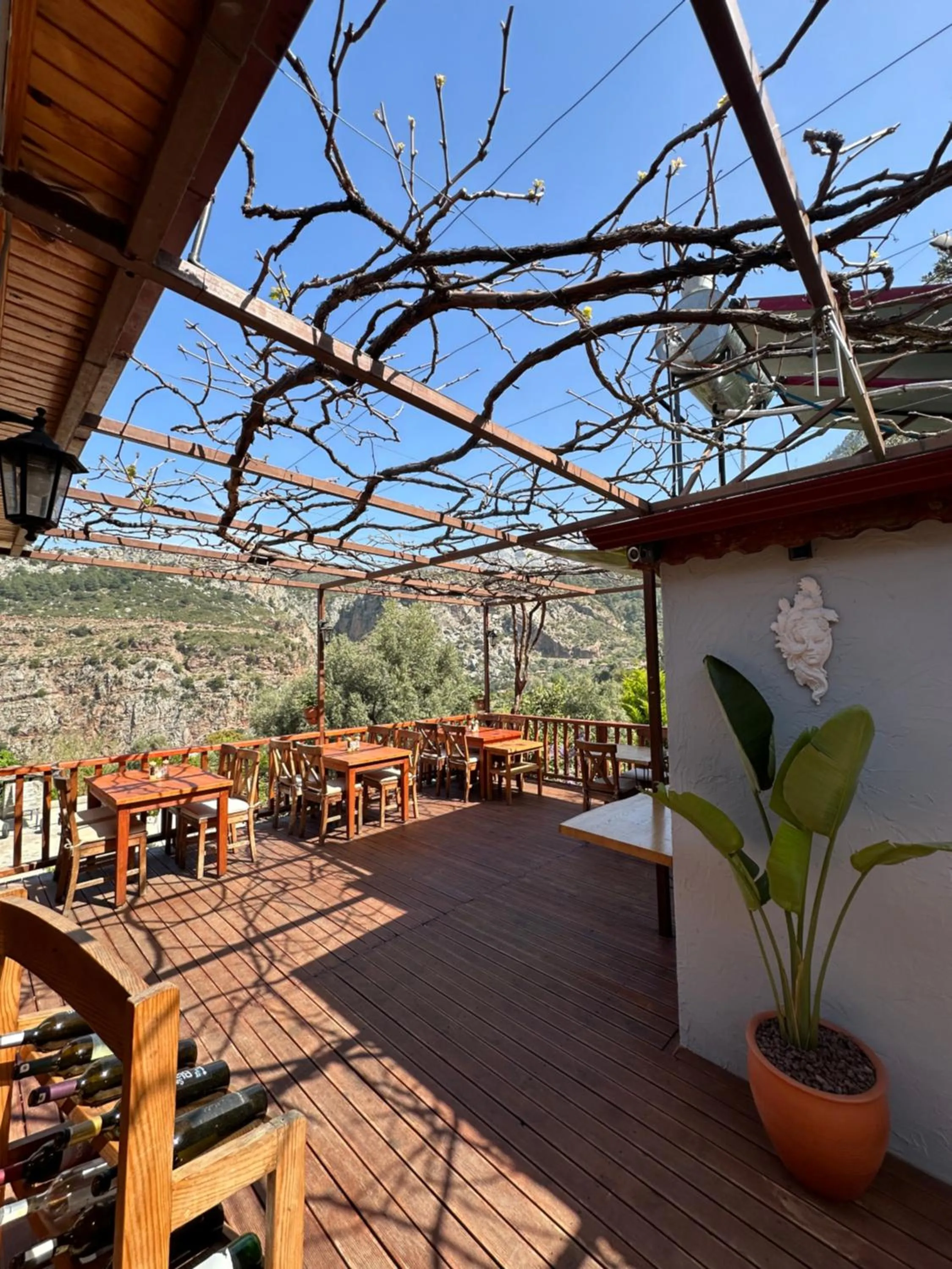 Restaurant/places to eat in Faralya Misafir Evi