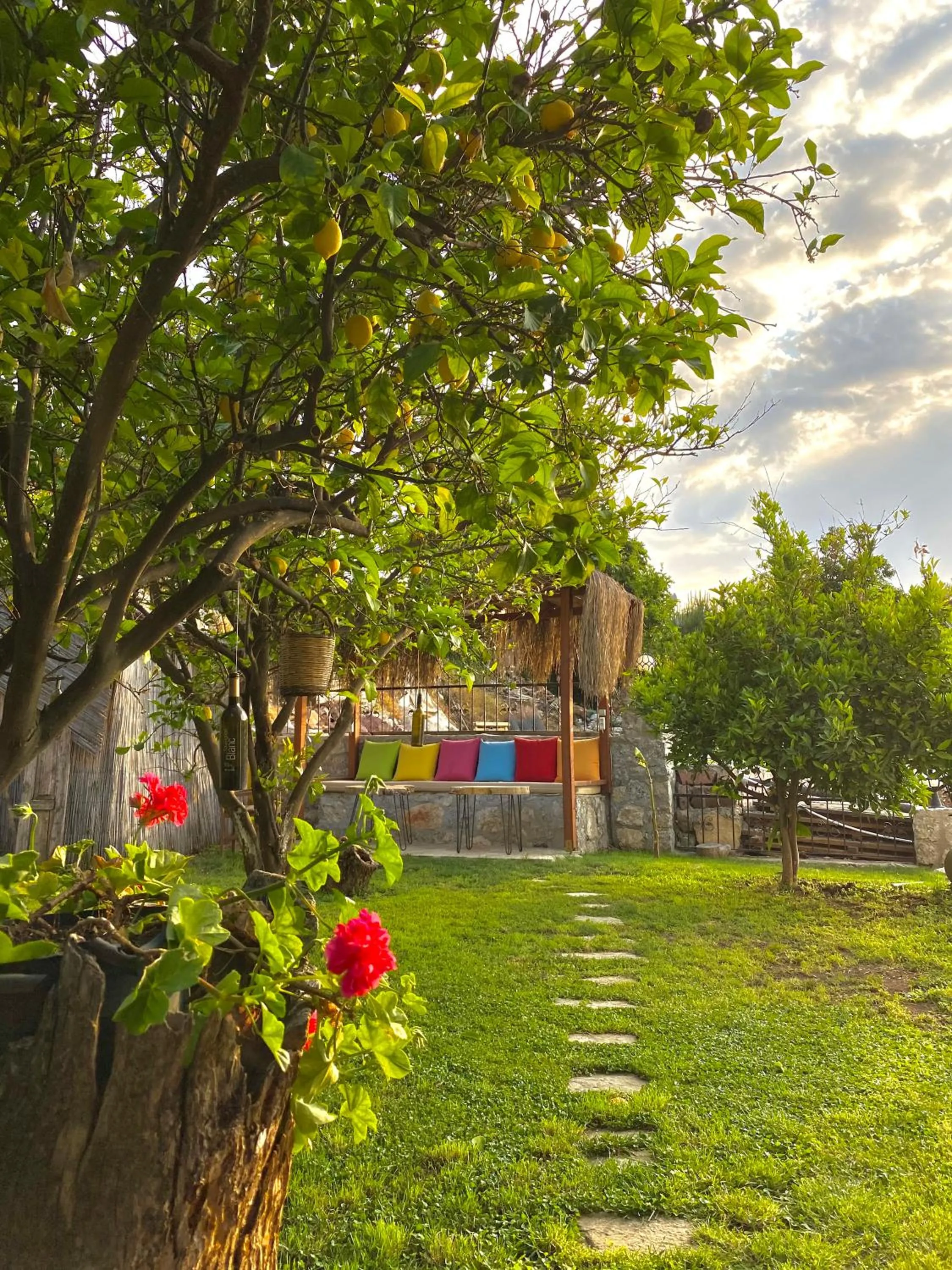 Day in Faralya Misafir Evi