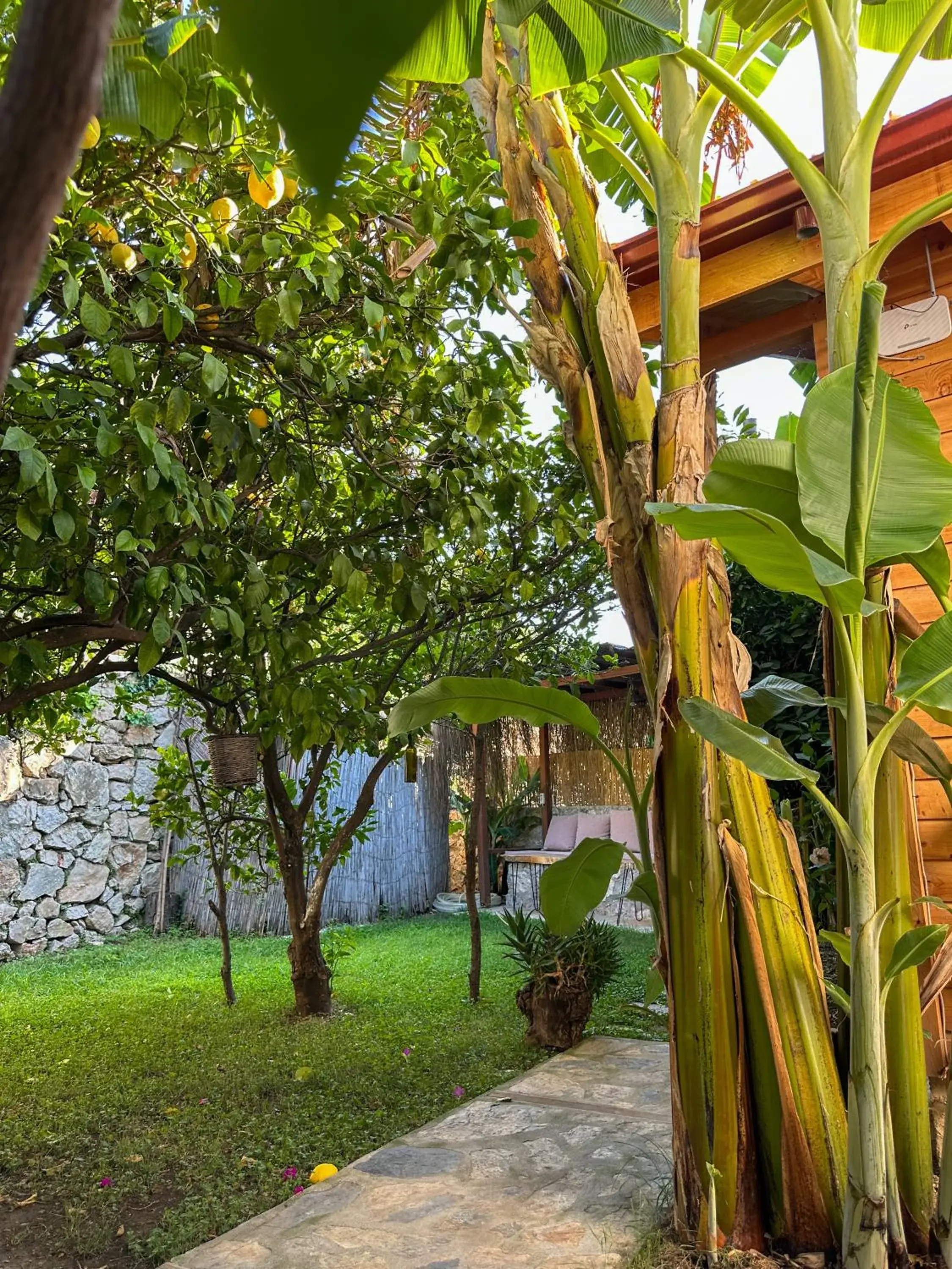 Faralya Misafir Evi Faralya Misafir Evi