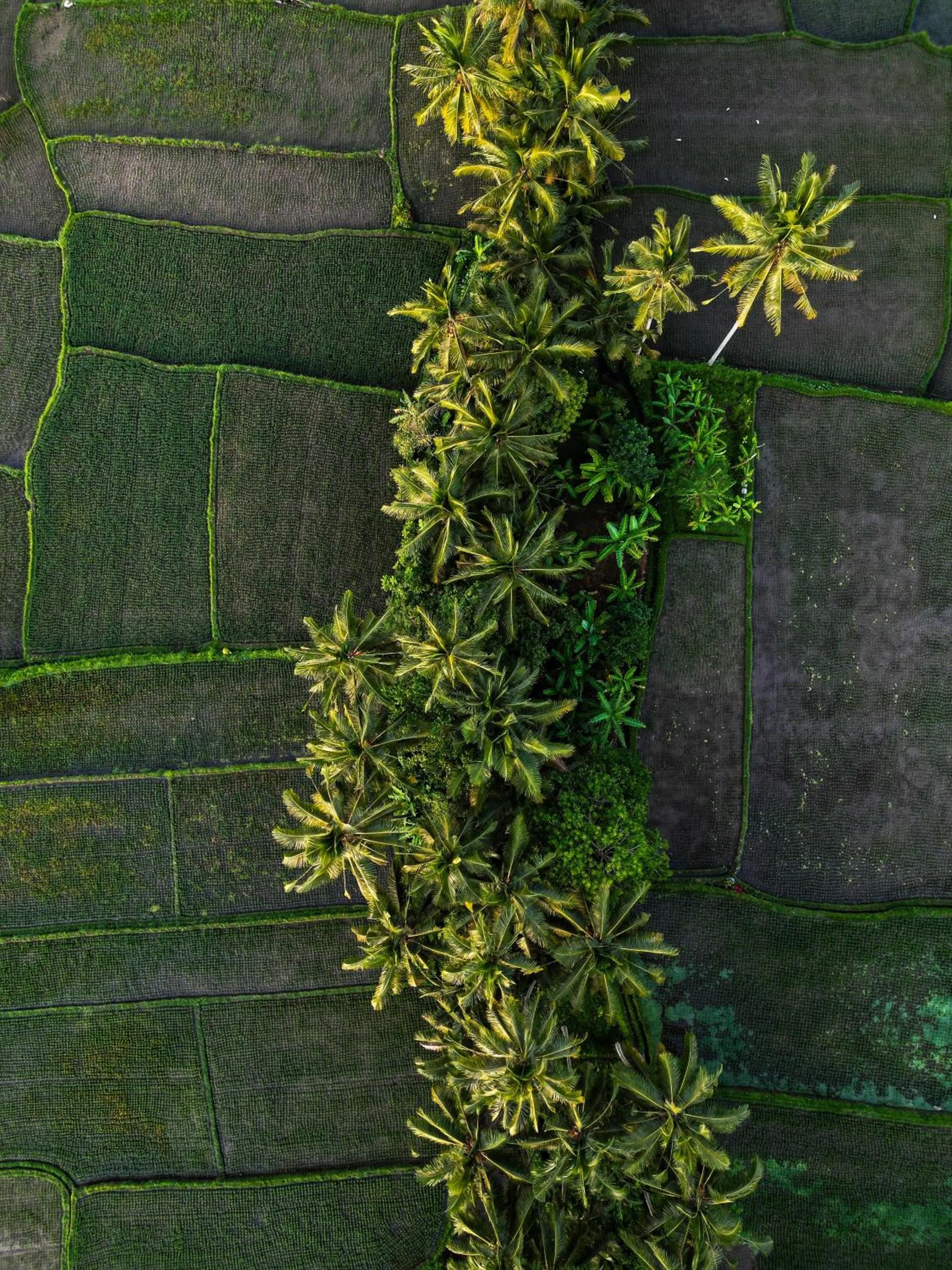 Natural landscape in Ayu Duwur Beji