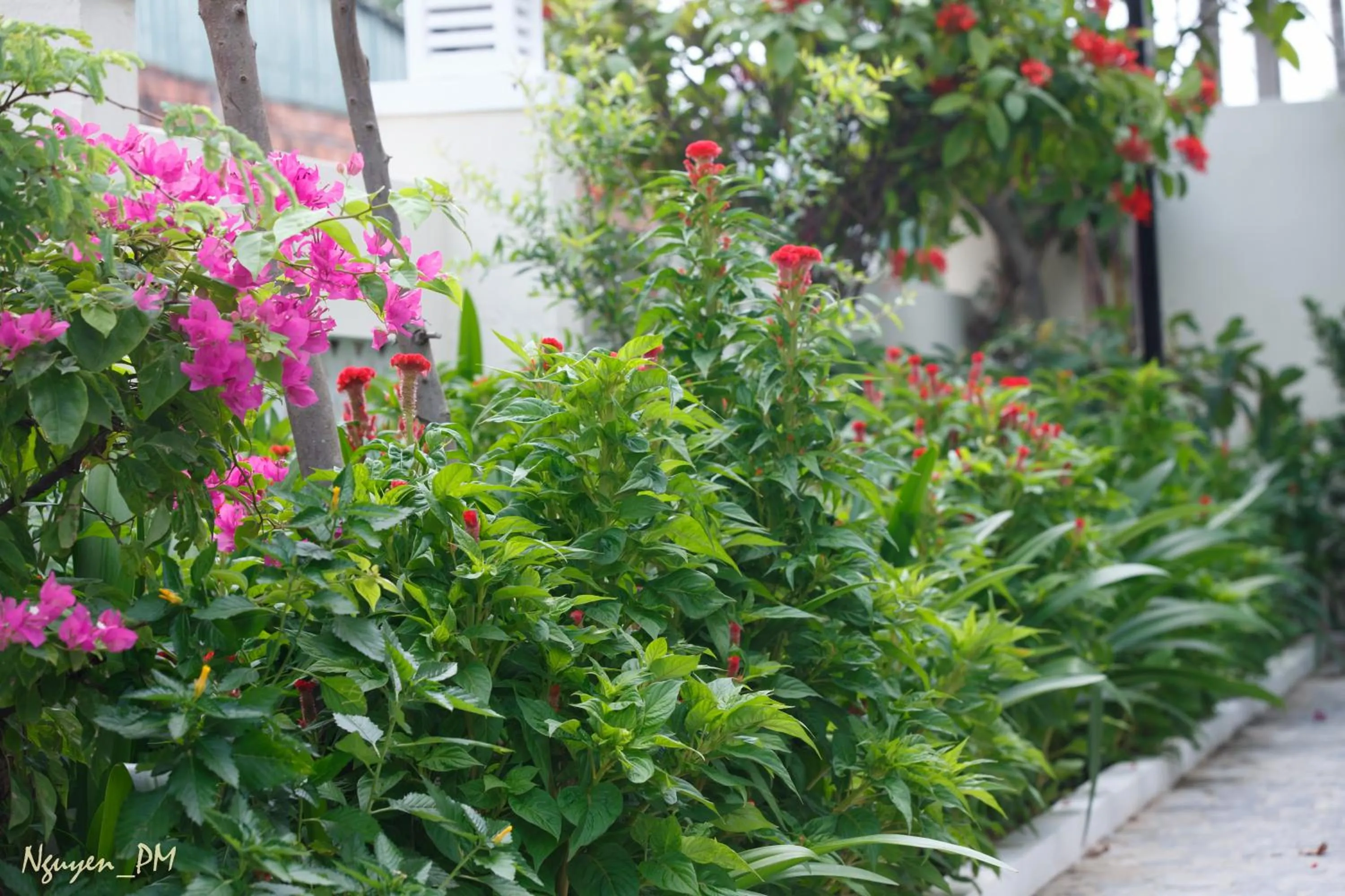 Garden in Gia Lam Villa Hoi An