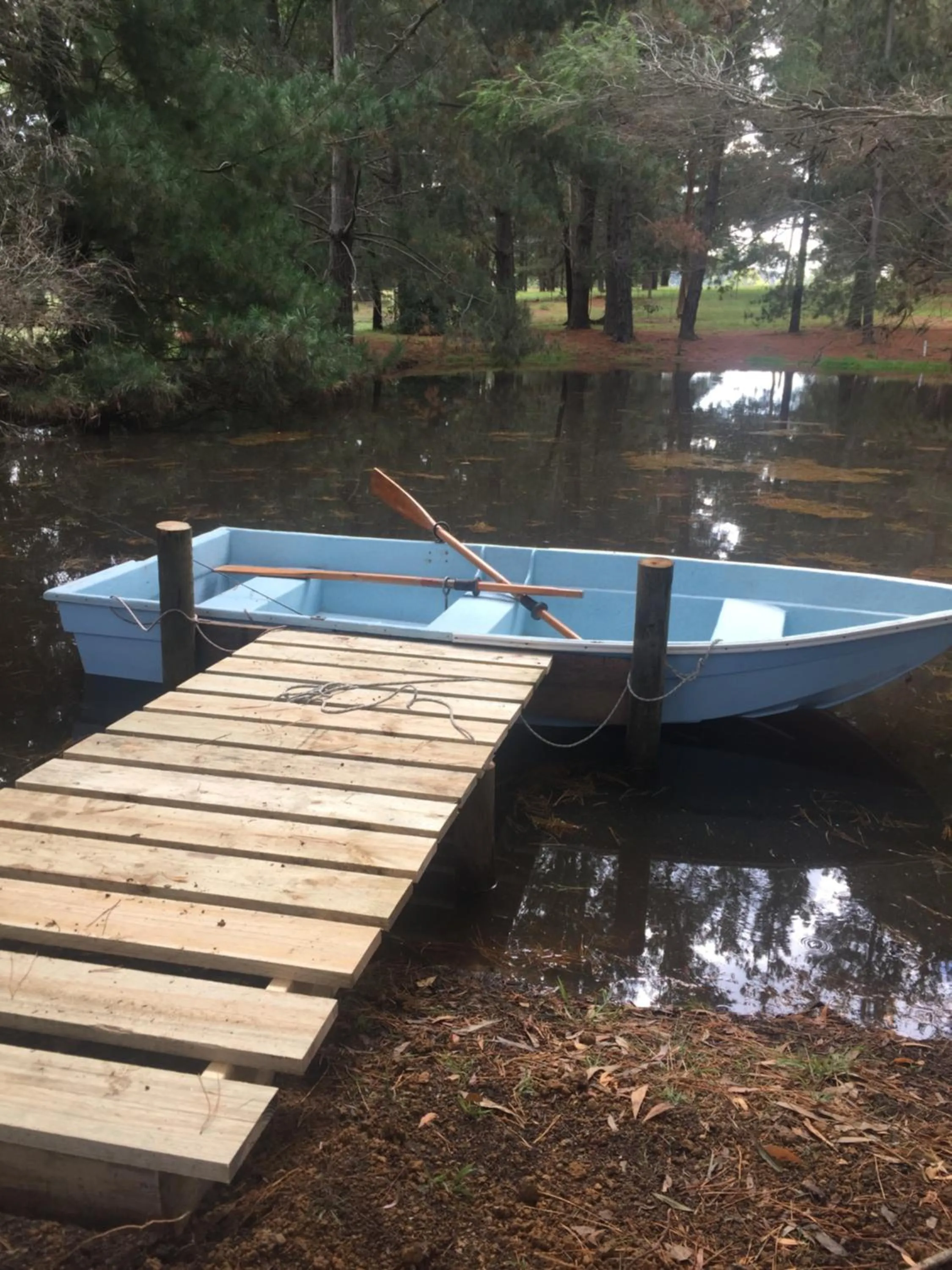 Garden in Sherwood Park bed and breakfast