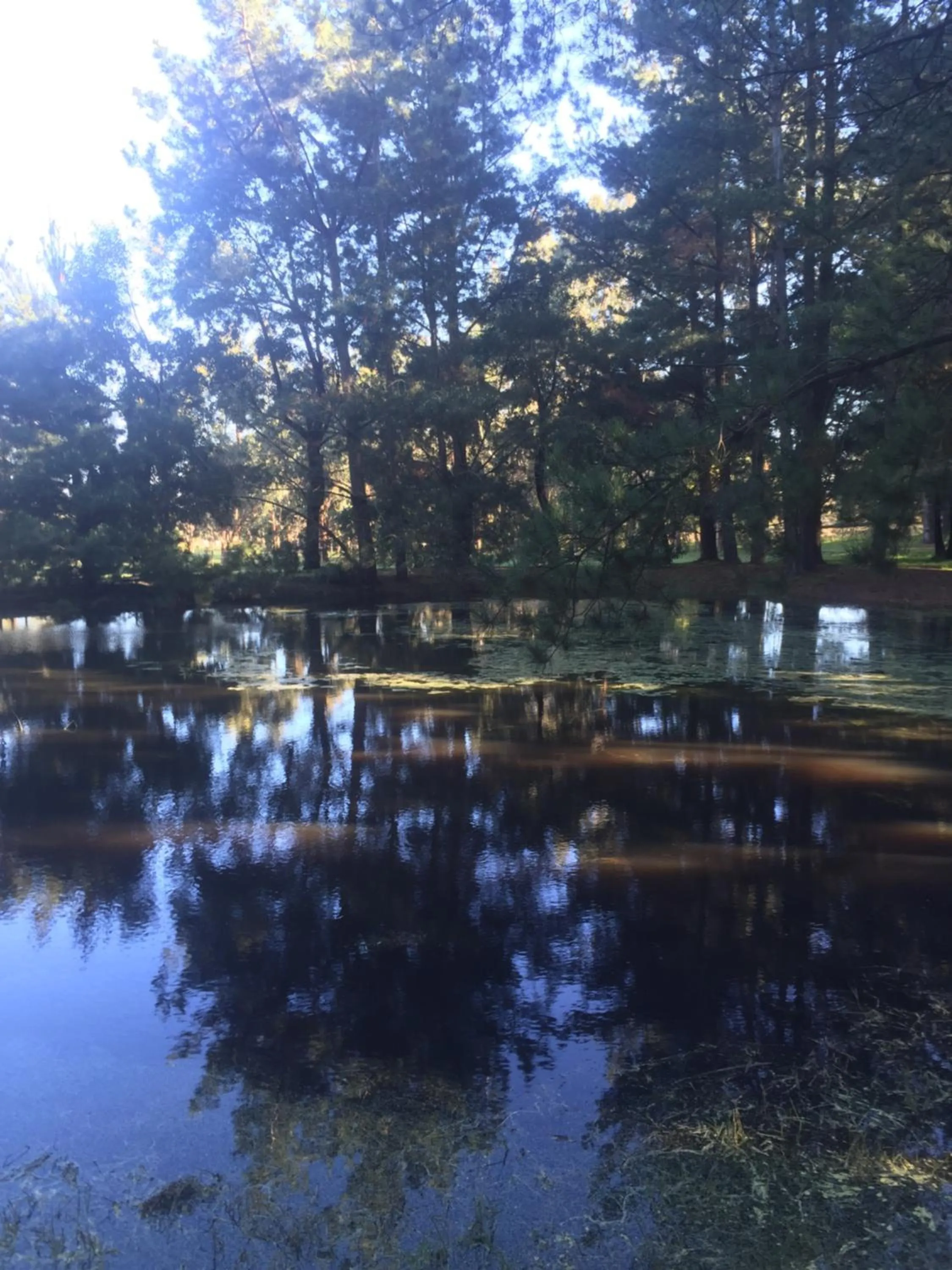 Natural landscape in Sherwood Park bed and breakfast