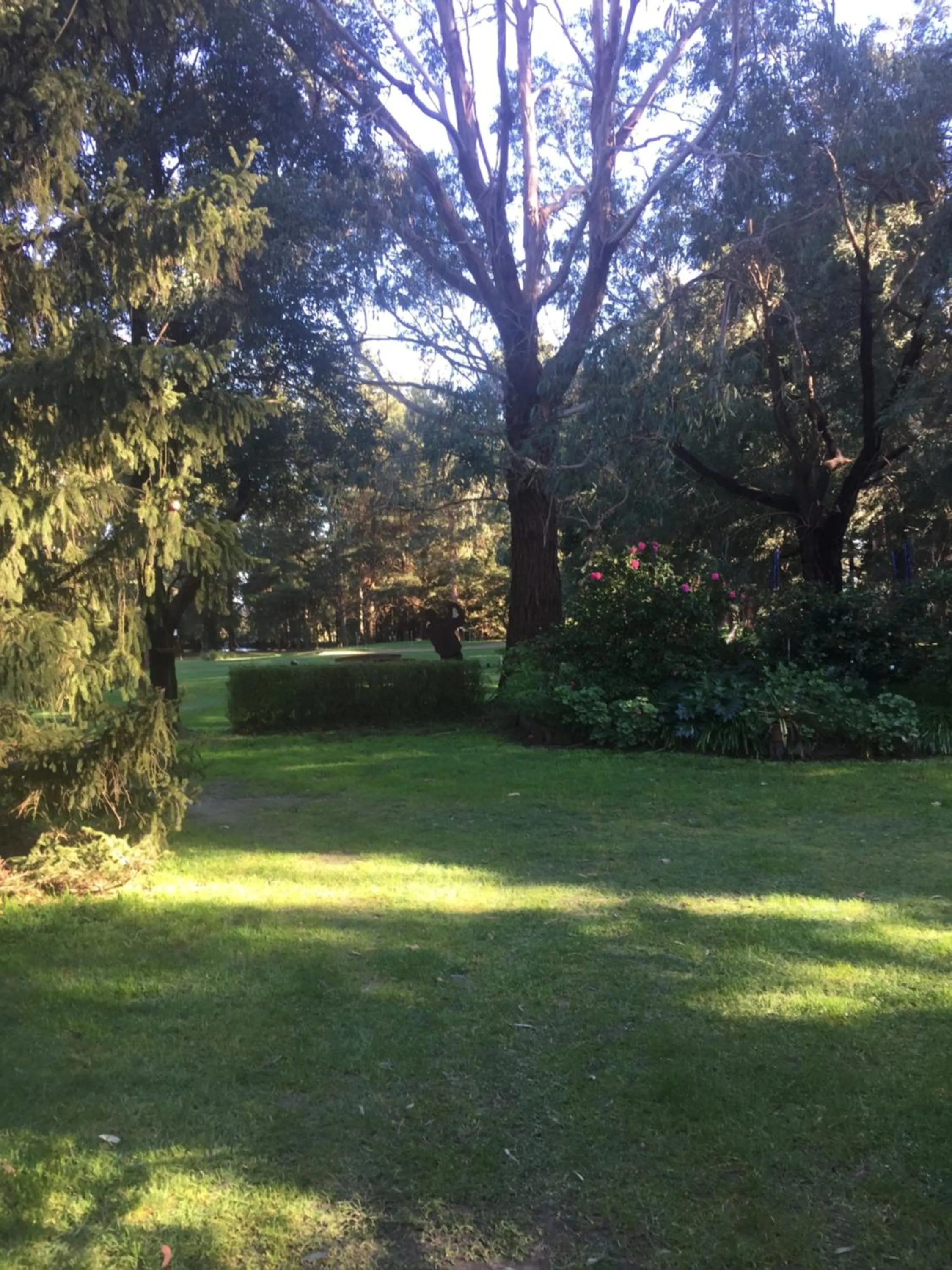 Garden in Sherwood Park bed and breakfast