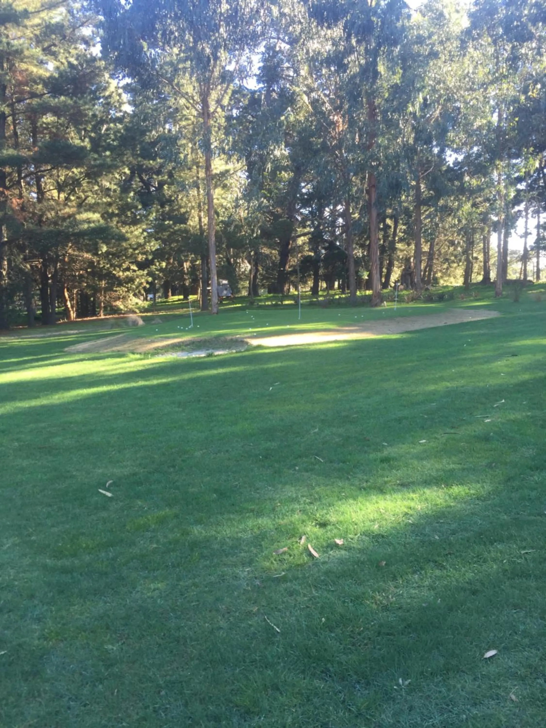 Garden in Sherwood Park bed and breakfast