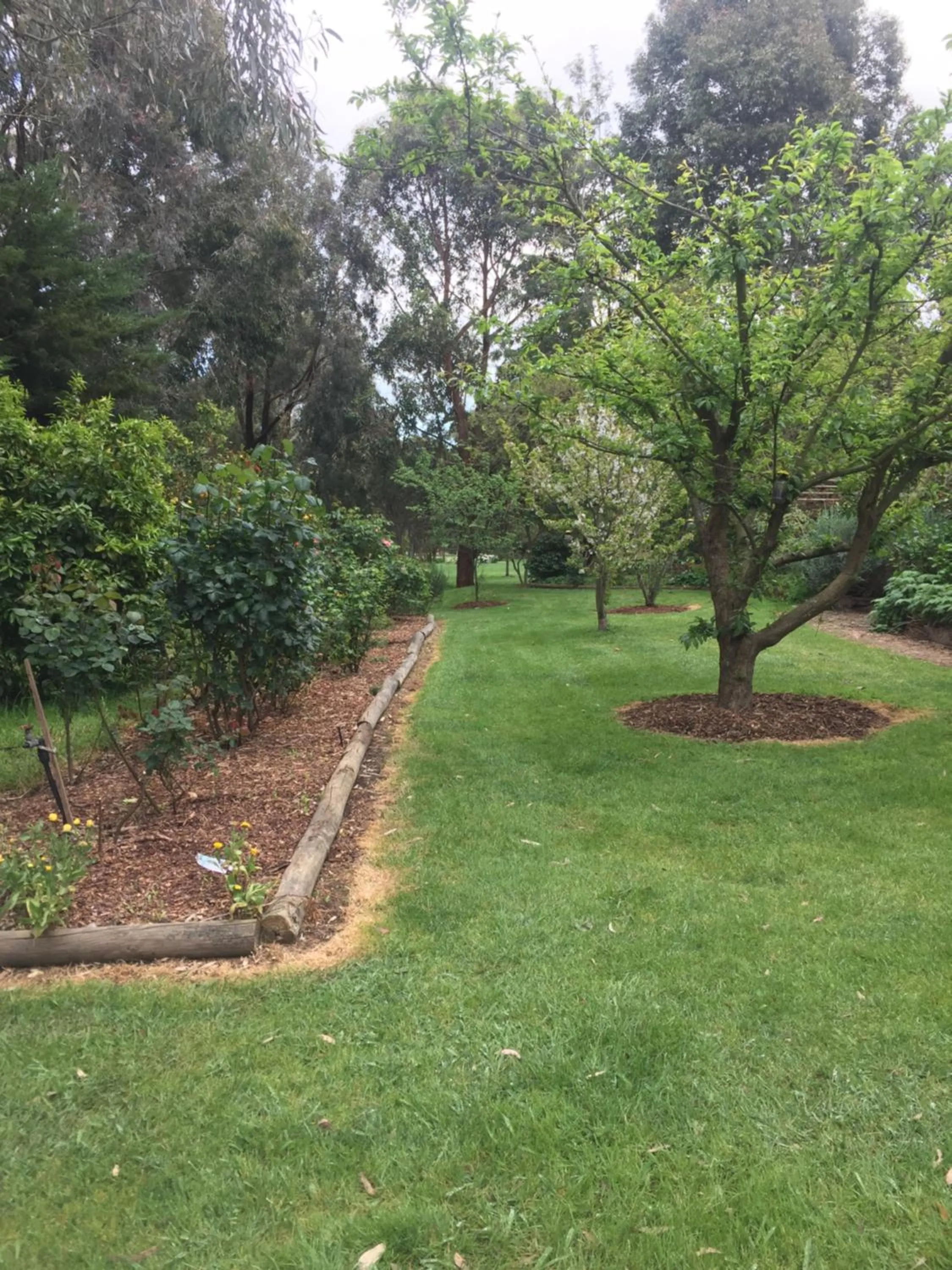 Garden in Sherwood Park bed and breakfast
