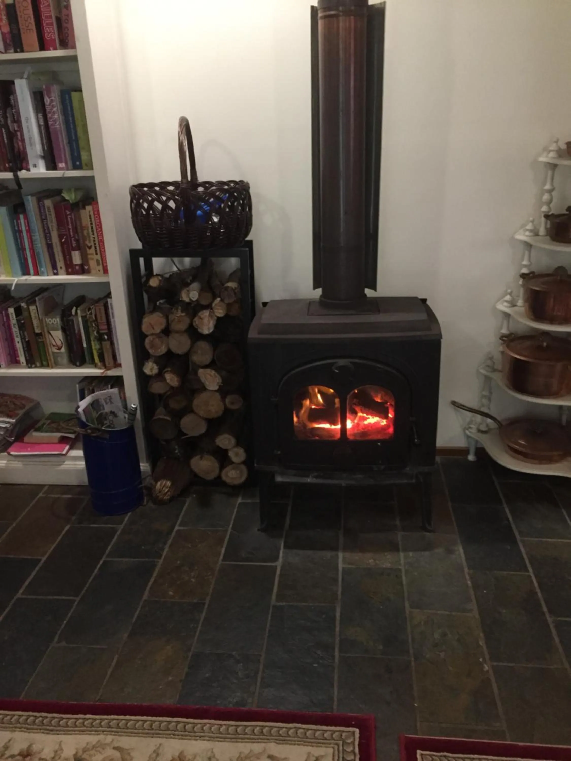 fireplace in Sherwood Park bed and breakfast