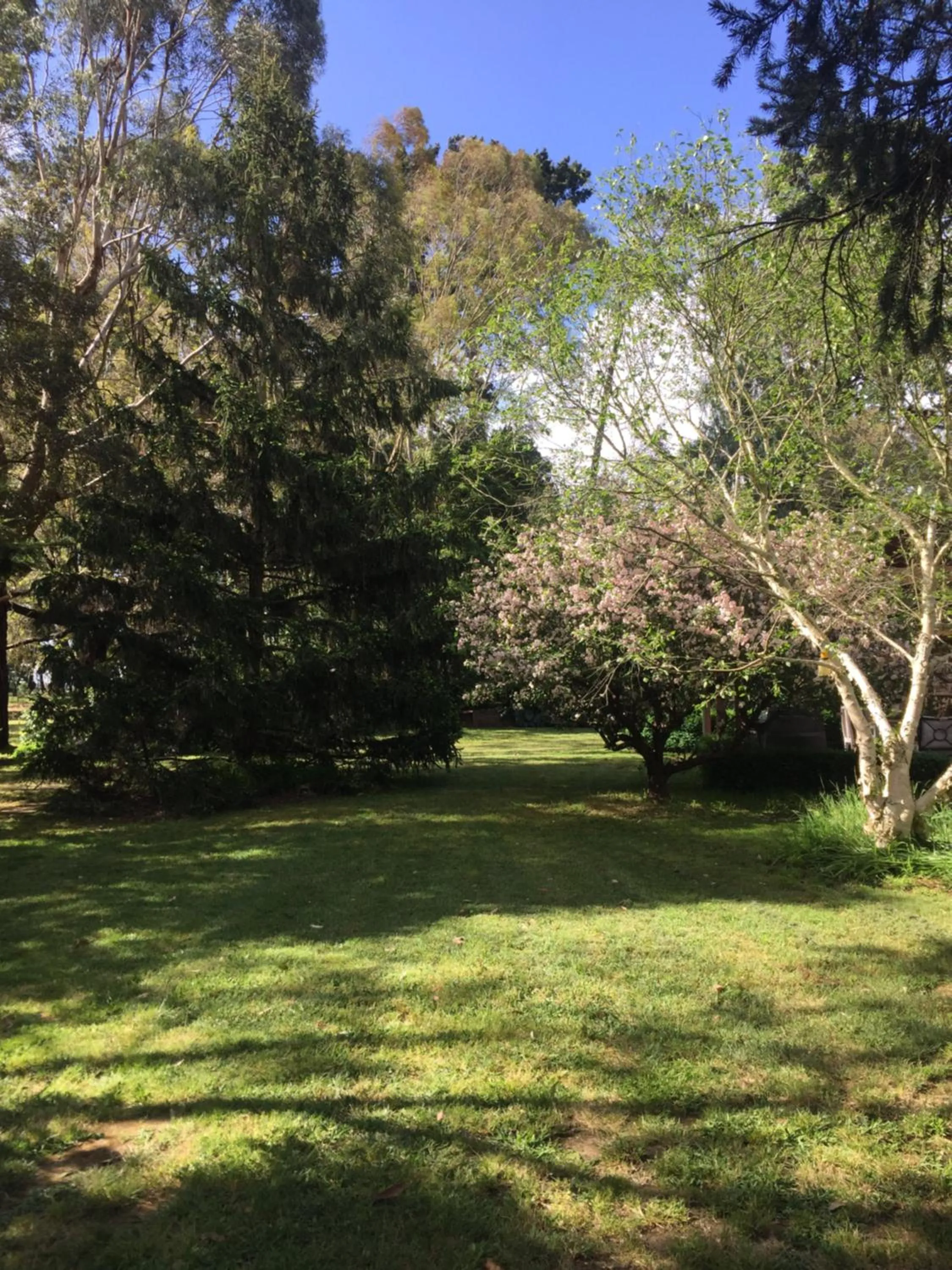 Garden in Sherwood Park bed and breakfast