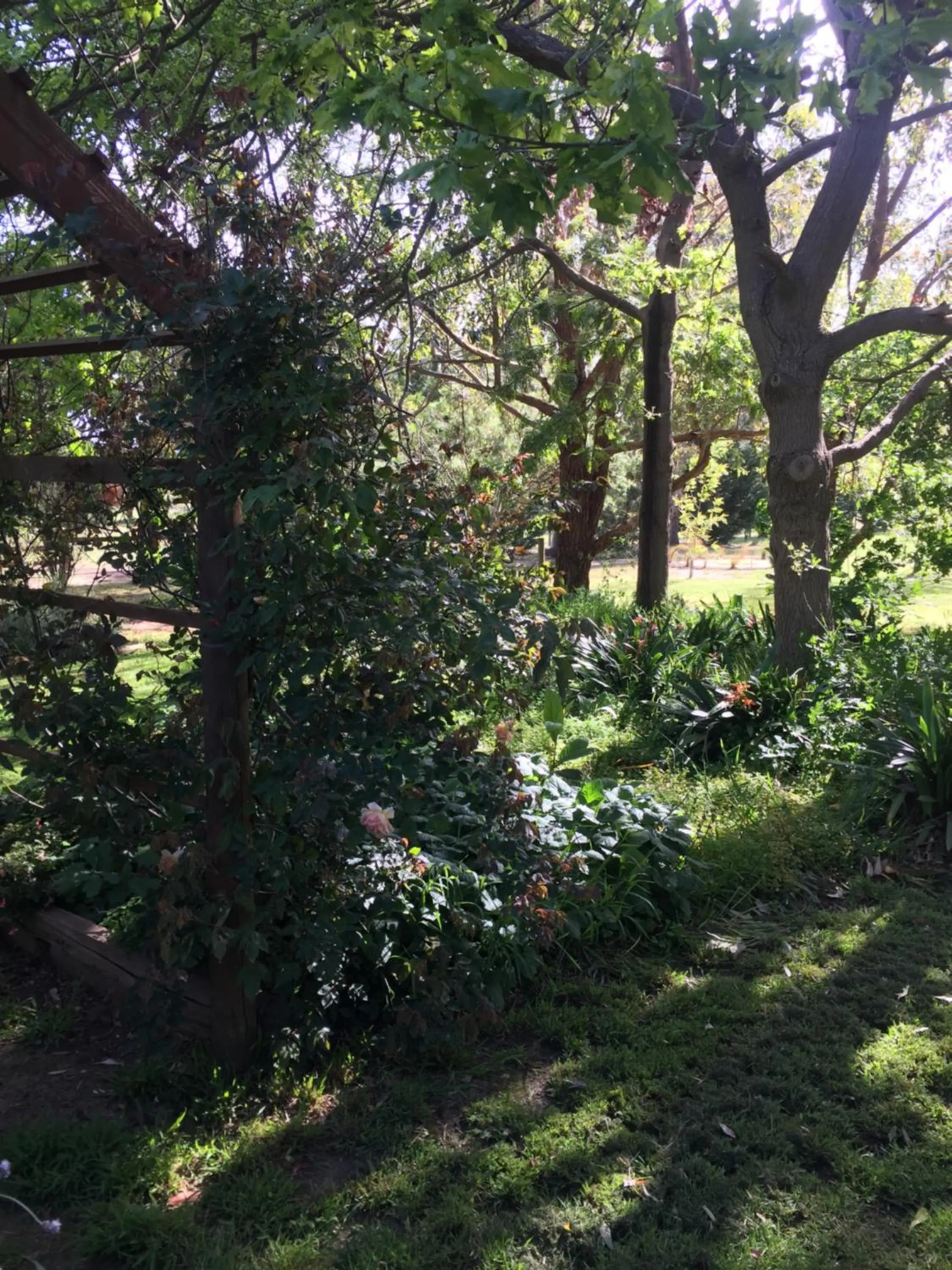 Garden in Sherwood Park bed and breakfast