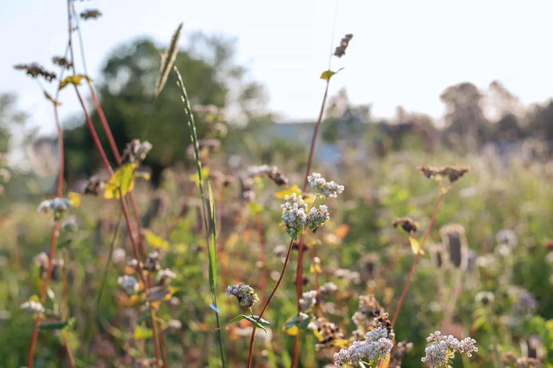 Domein Holset BruisendWijnHuis