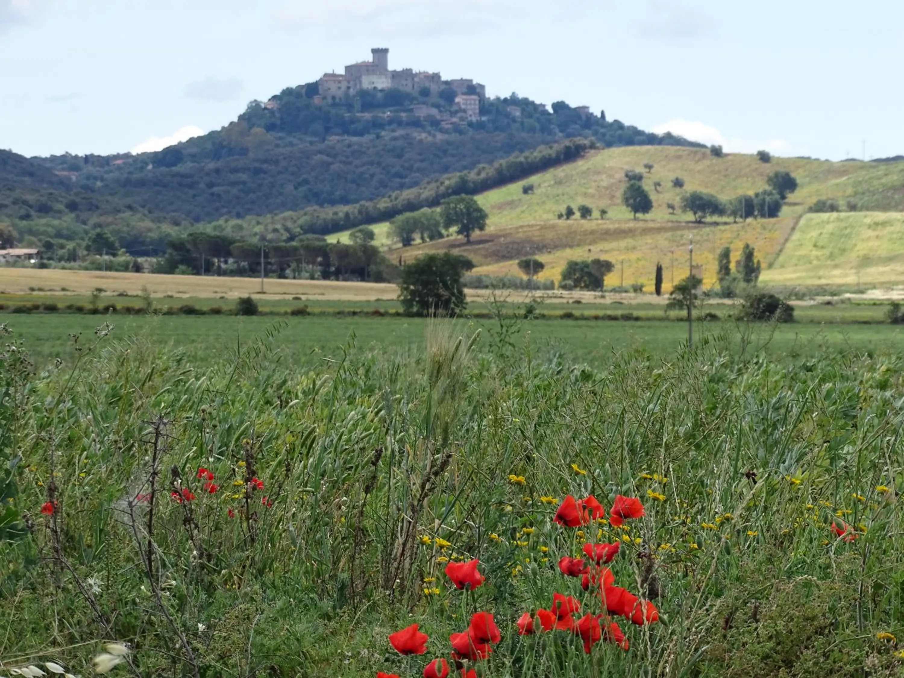 Nearby landmark in B&B La Dolce Vita