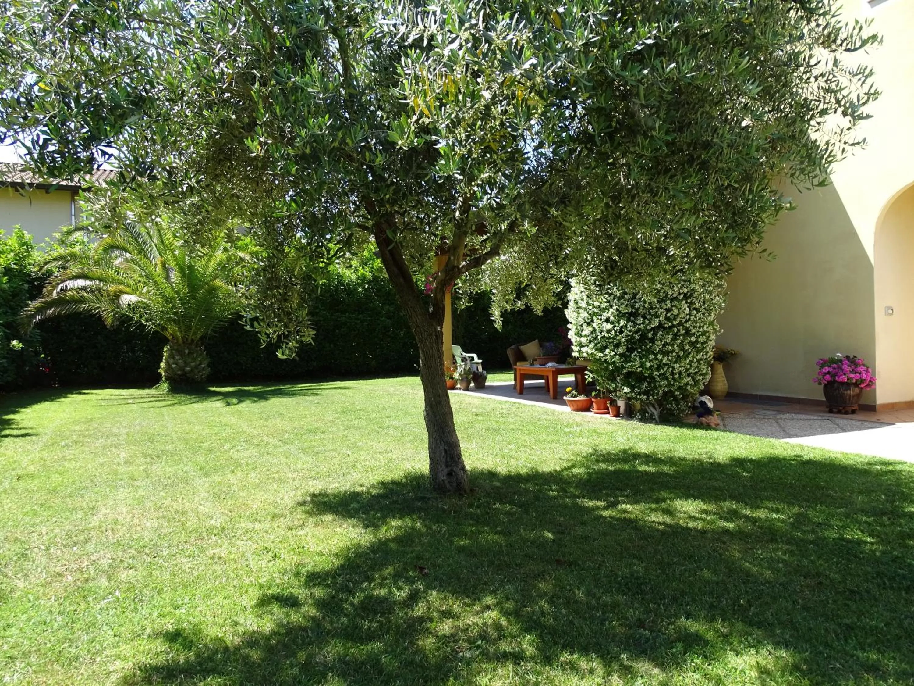 Garden in B&B La Dolce Vita