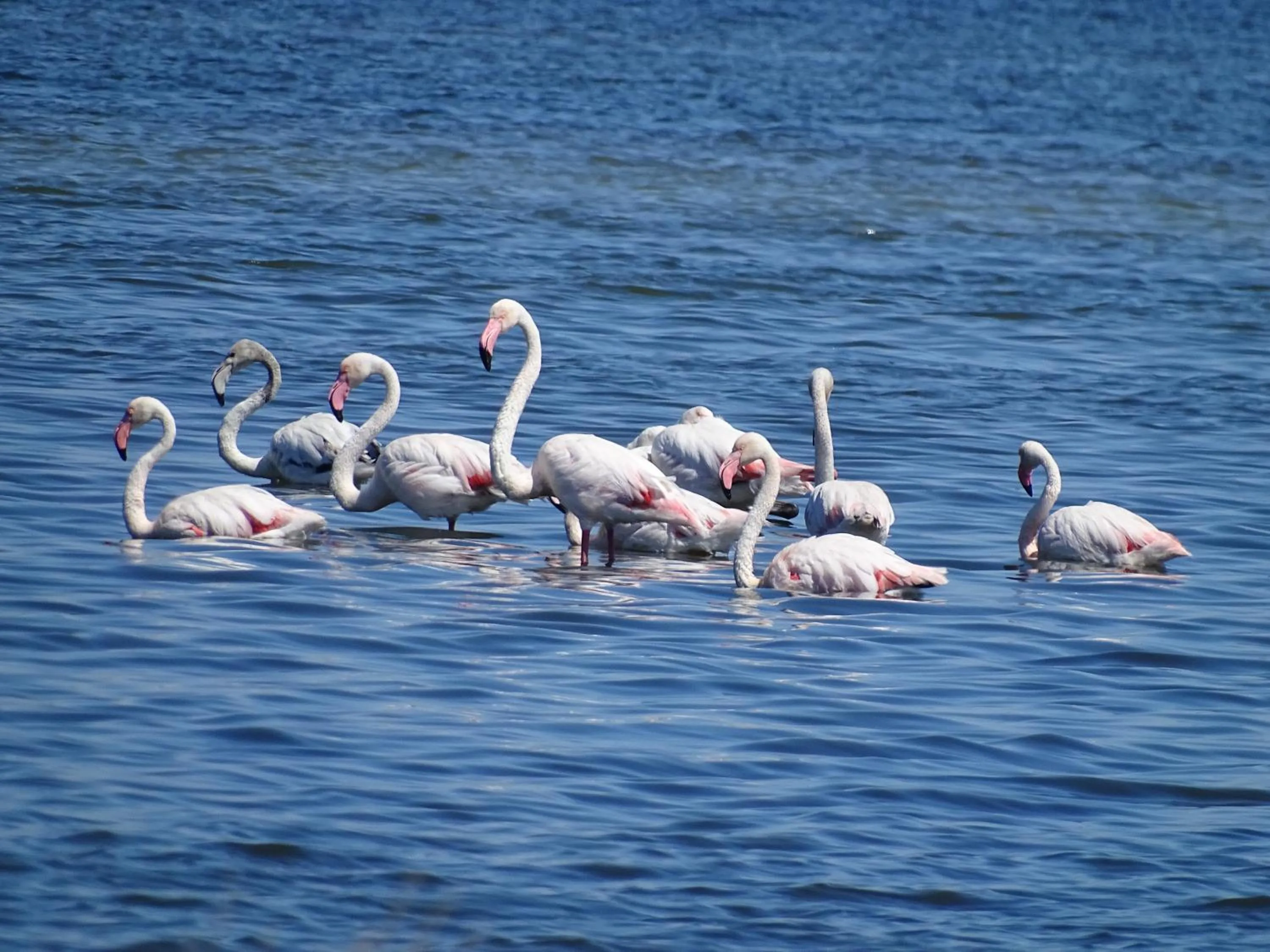 Nearby landmark in B&B La Dolce Vita