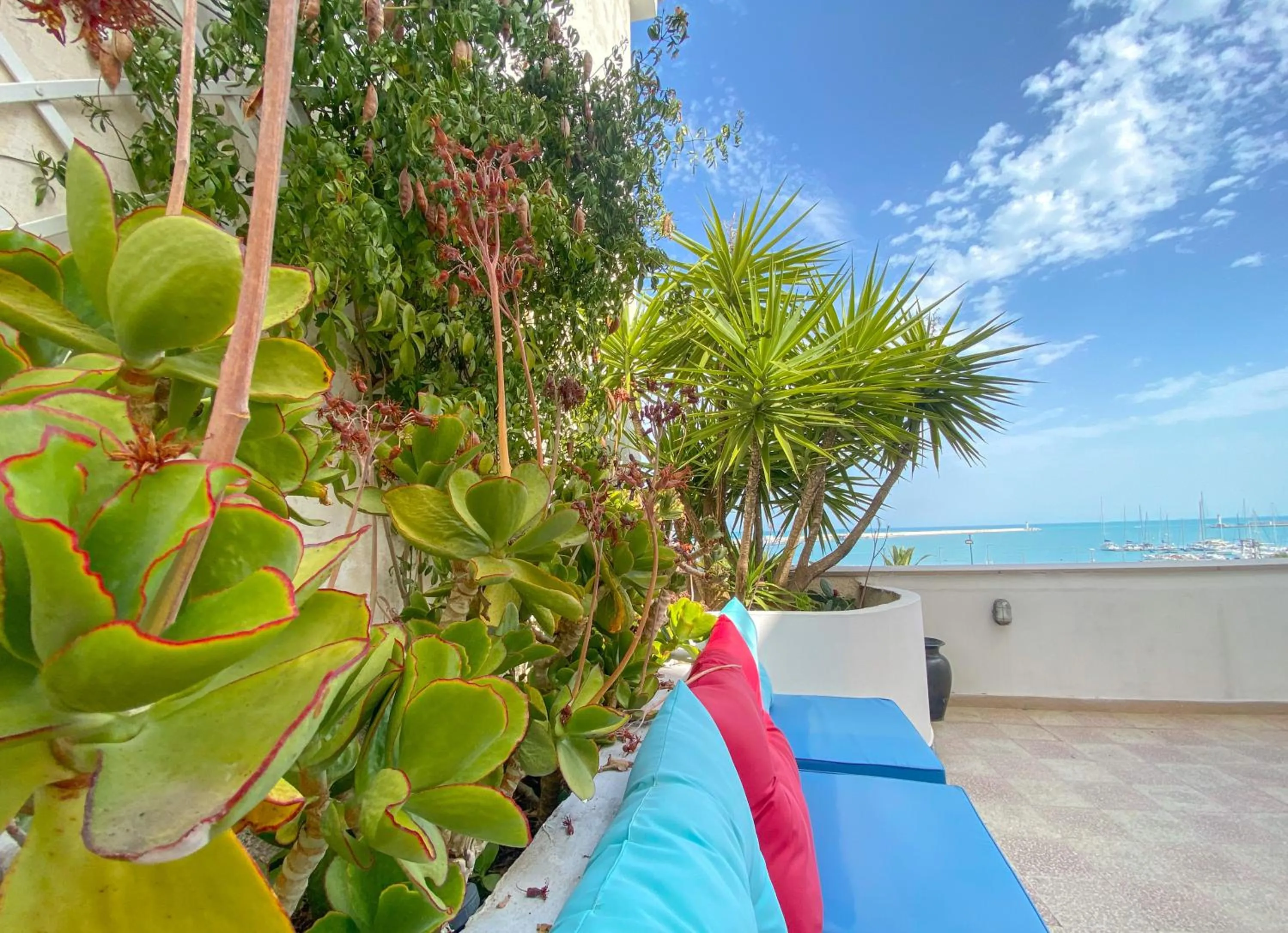 Casa Manfredi Terrazza Diomede