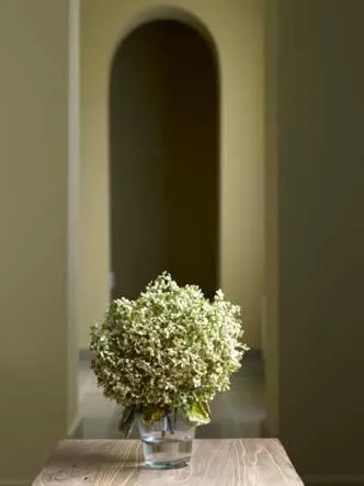 B&B 't Wit Huys Brugge