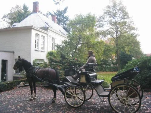 B&B 't Wit Huys Brugge