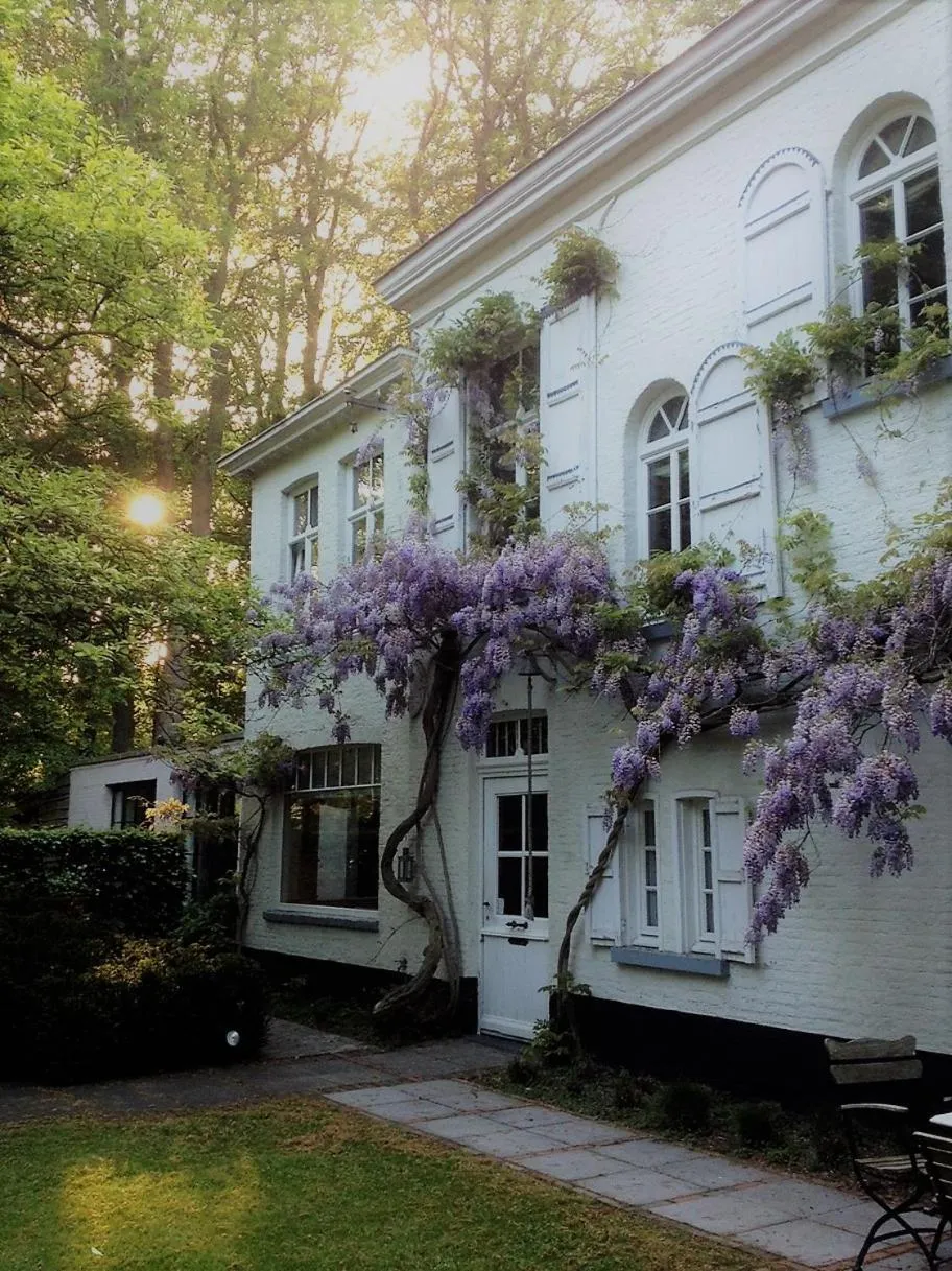 B&B 't Wit Huys Brugge