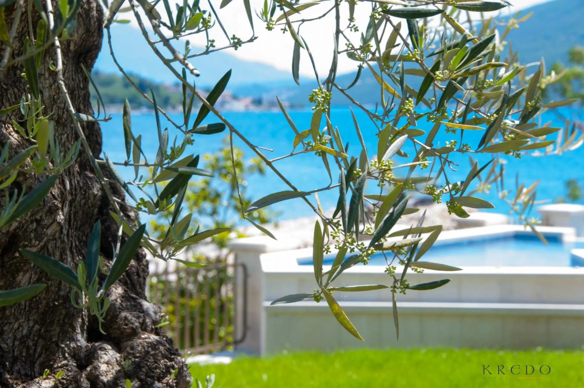 Swimming pool in Boutique Hotel Kredo