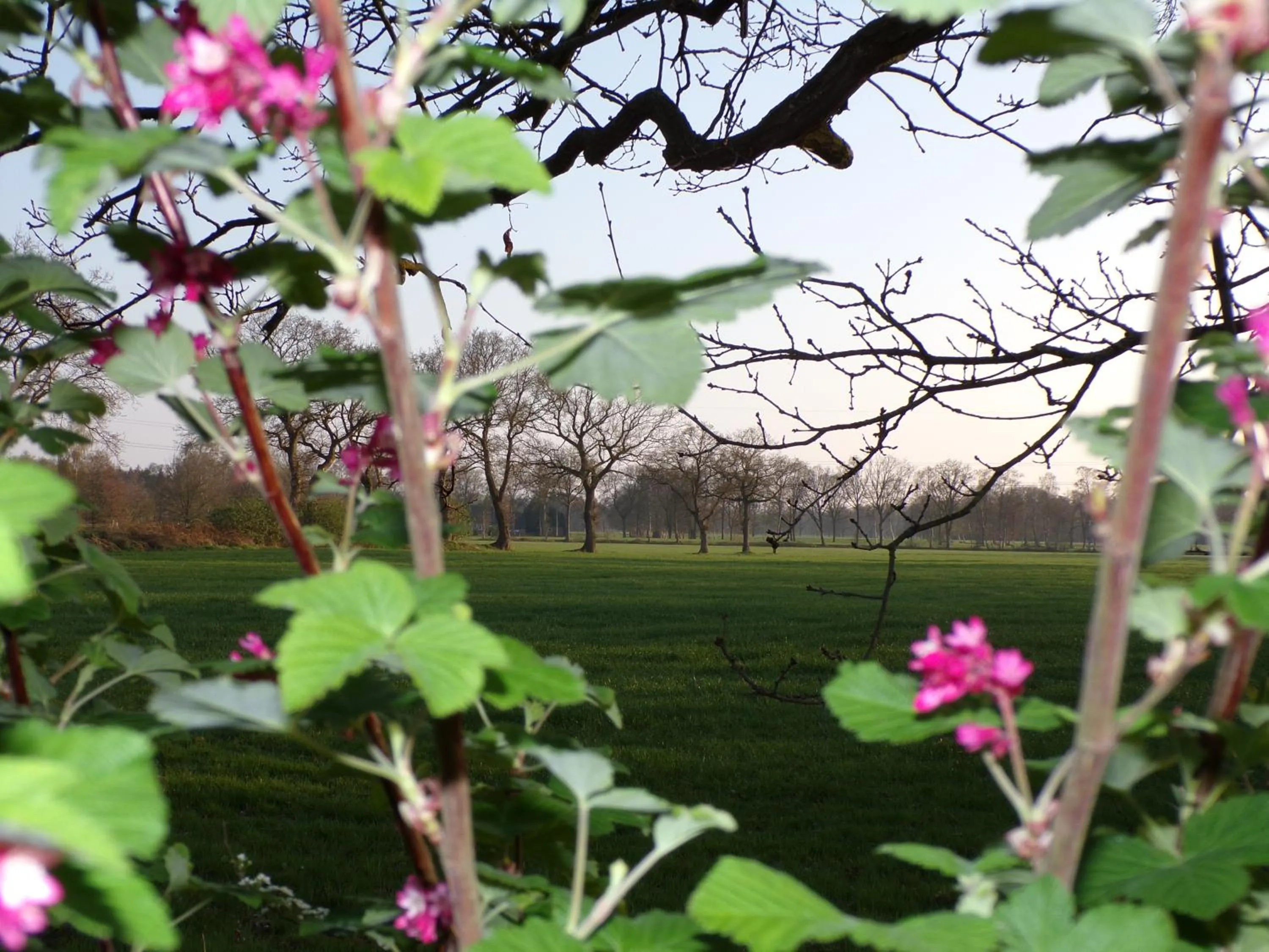 Neighbourhood in Ferienwohnung Baumann