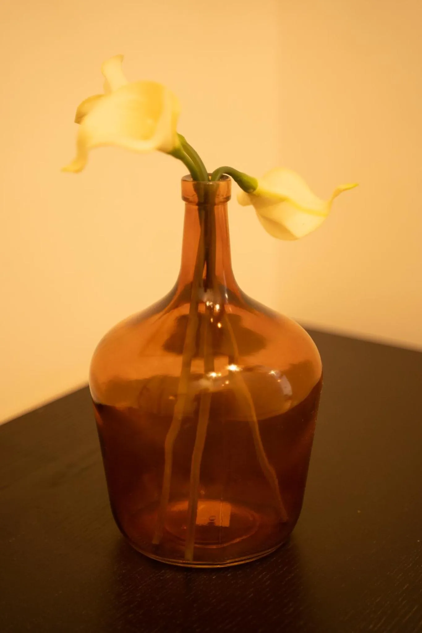 Hôtel d'Angleterre, Salon-de-Provence