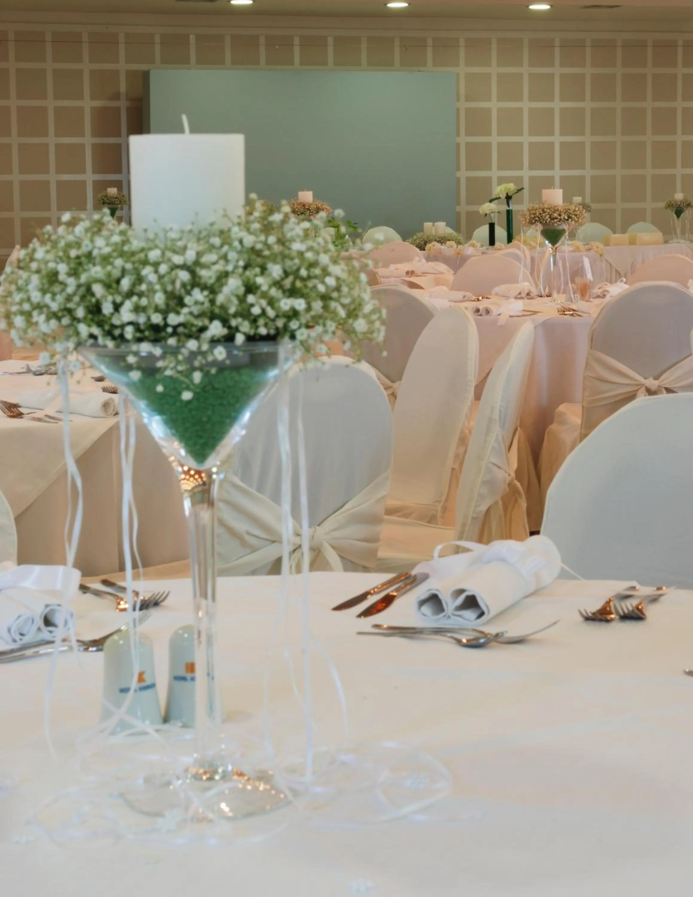 Banquet/Function facilities in Hotel Kierion